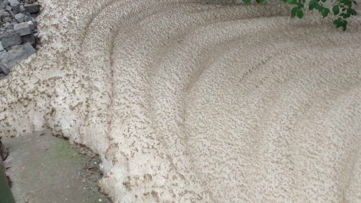 Heute.at - Bauer musste aufs WC – 12.000 Liter Gülle in Bach