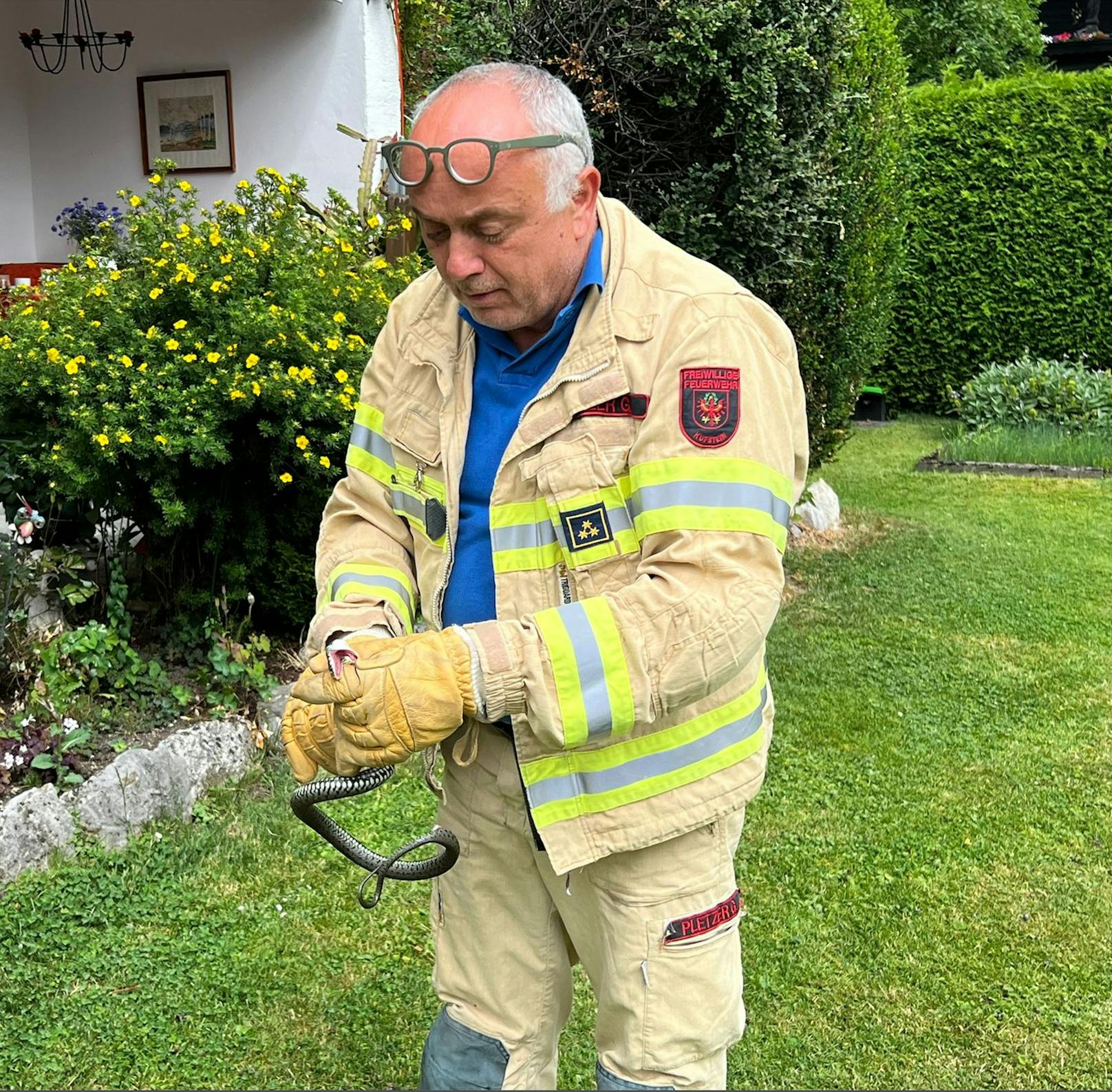 Beinahe täglich stehen derzeit für die Freiwilligen Feuerwehren die Rettungen bzw. Bergung von Schlangen am Programm.