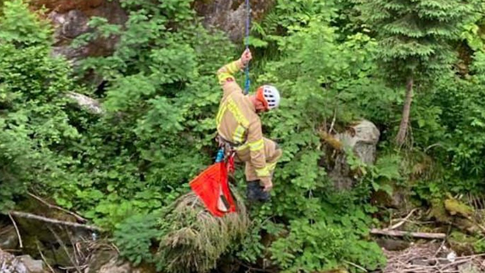 Ein Feuerwehrmann musste sich zum Schaf abseilen.&nbsp;