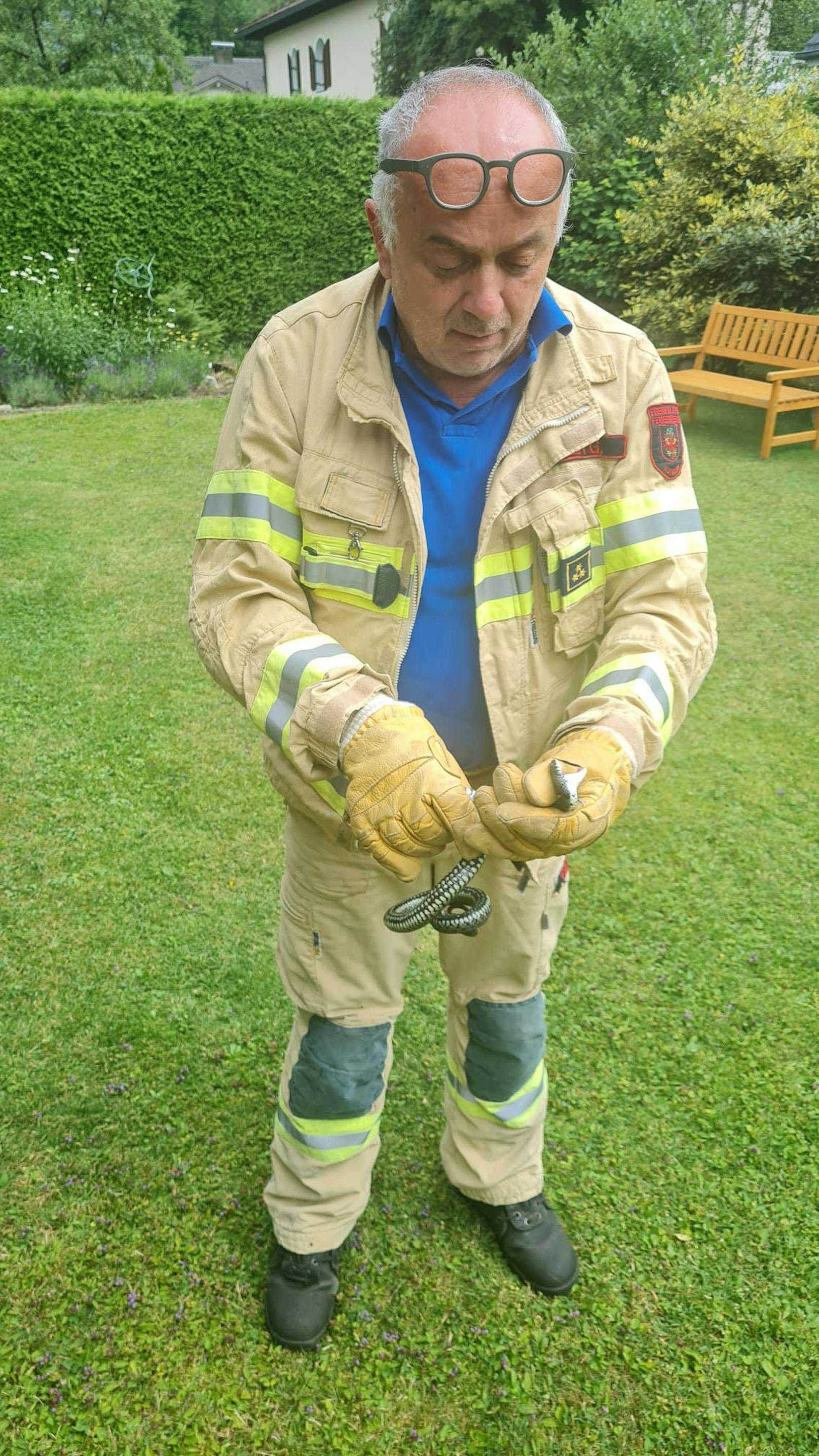 Beinahe täglich stehen derzeit für die Freiwilligen Feuerwehren die Rettungen bzw. Bergung von Schlangen am Programm.