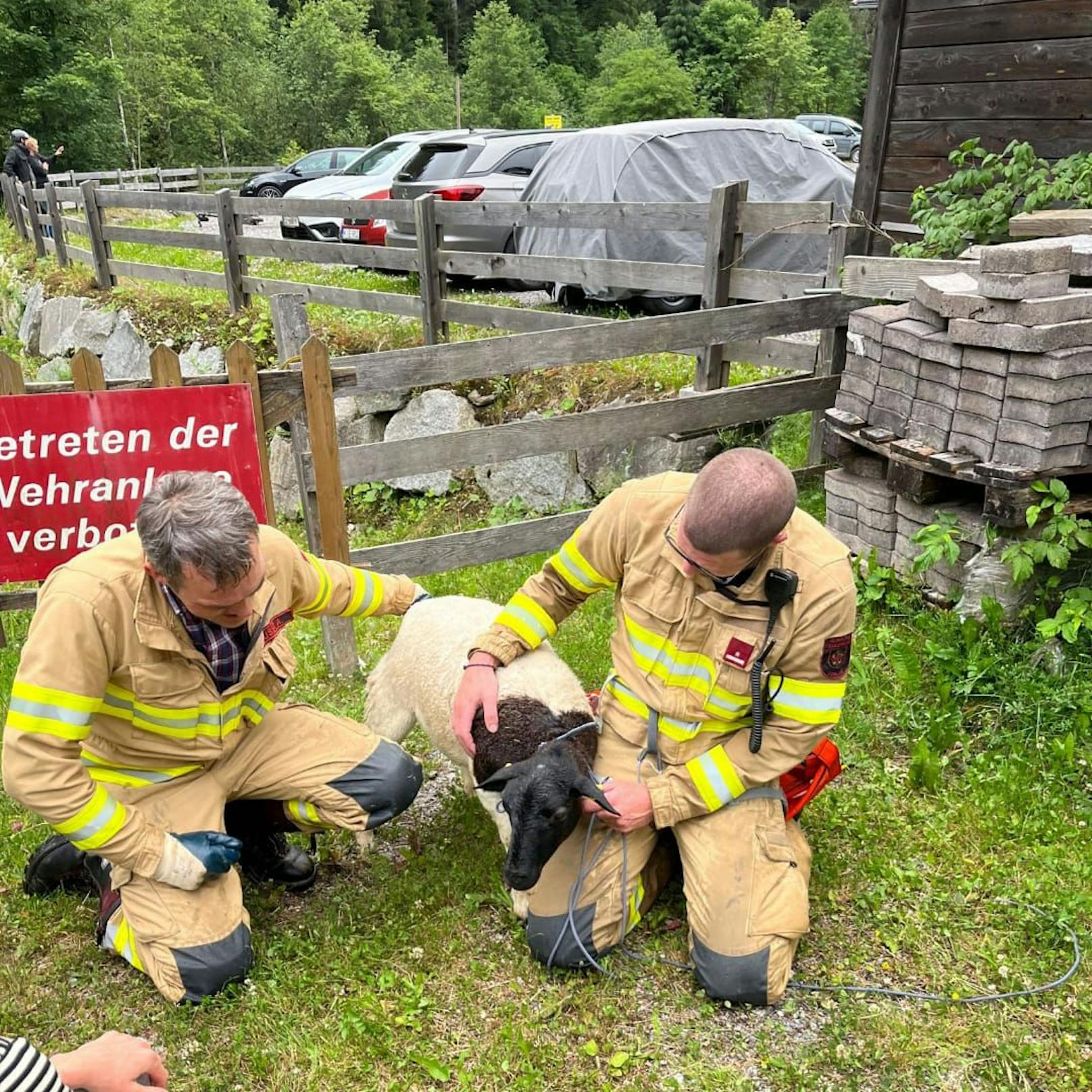 Die Feuerwehr musste ein Schaf aus einer misslichen Lage befreien.&nbsp;