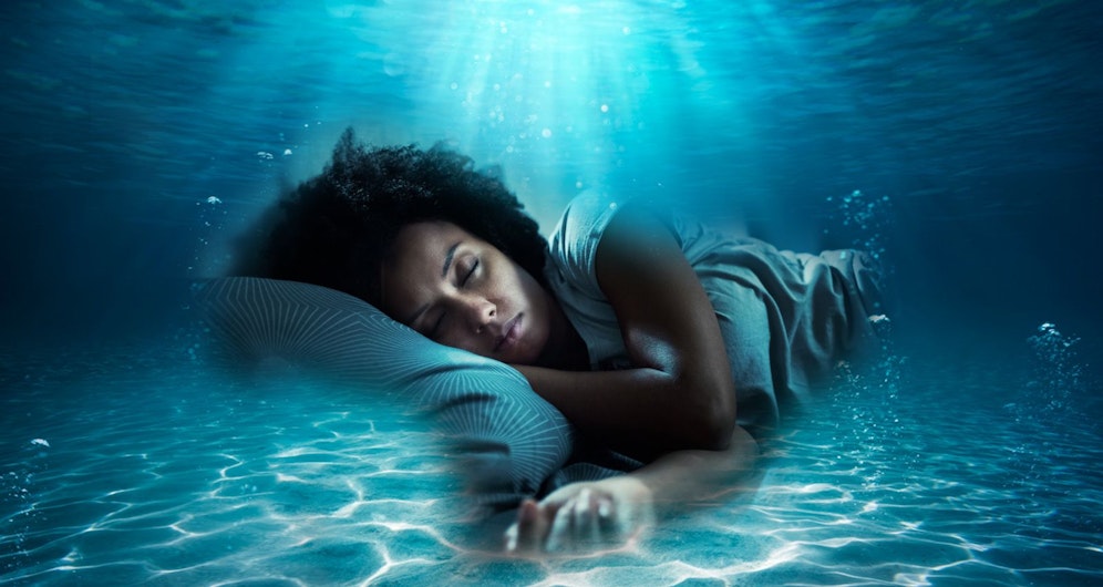 Wie lustig - Der Oktopus schläft in Phasen wie der Mensch.