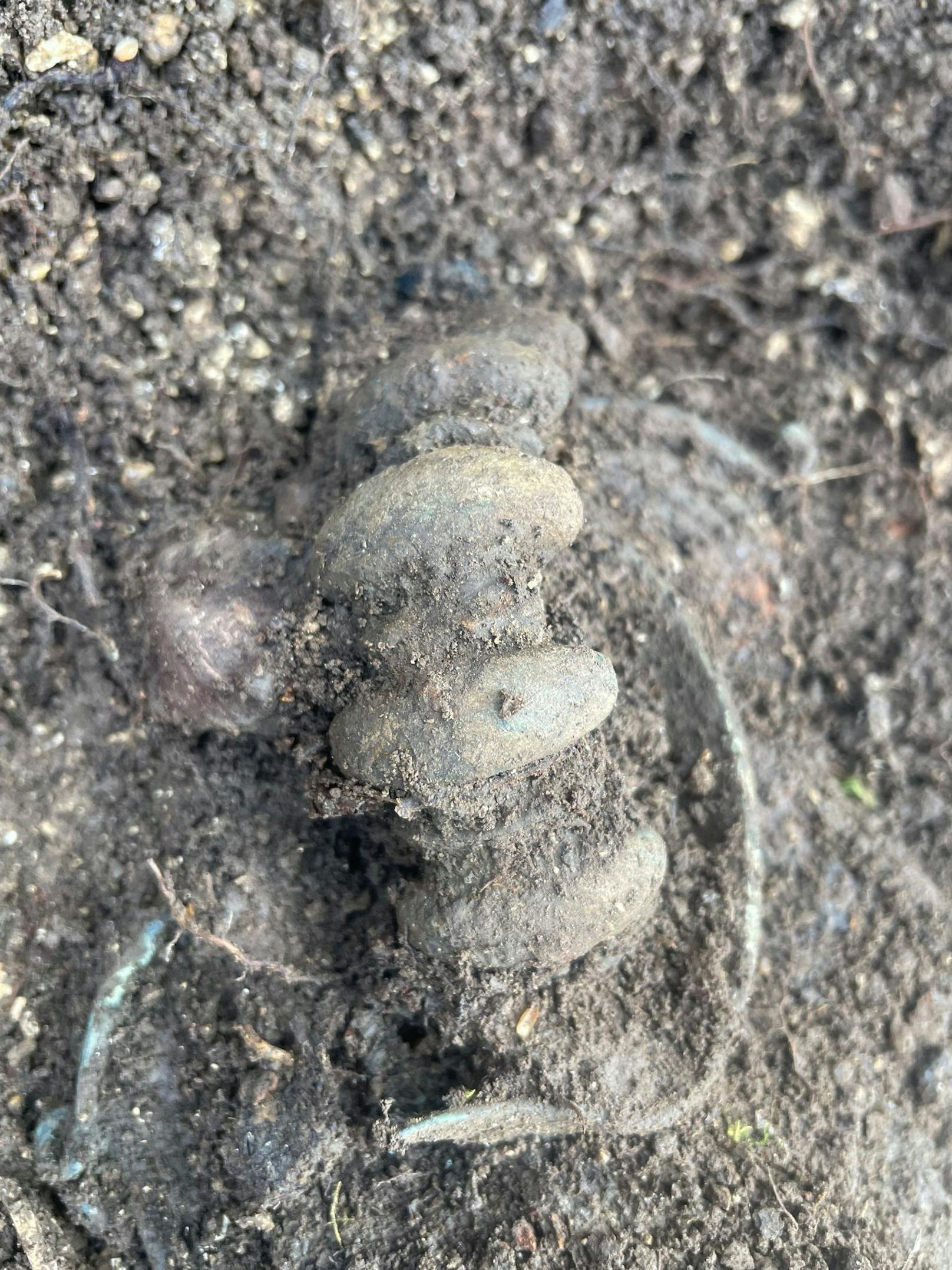 In dem neu entdeckten Grab fand&nbsp;man mehr oder weniger übliche Beigaben, wie ein massiver gerippter Armring aus Bronze, der vermutlich am Oberarm getragen wurde.&nbsp;