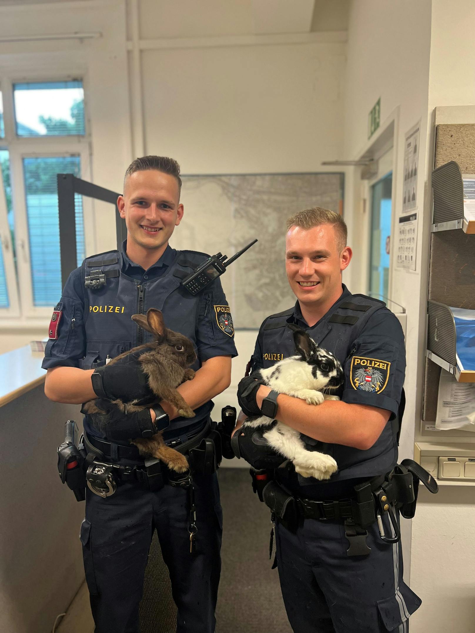"Fahndung" – Wiener Polizei fängt Kaninchen ein