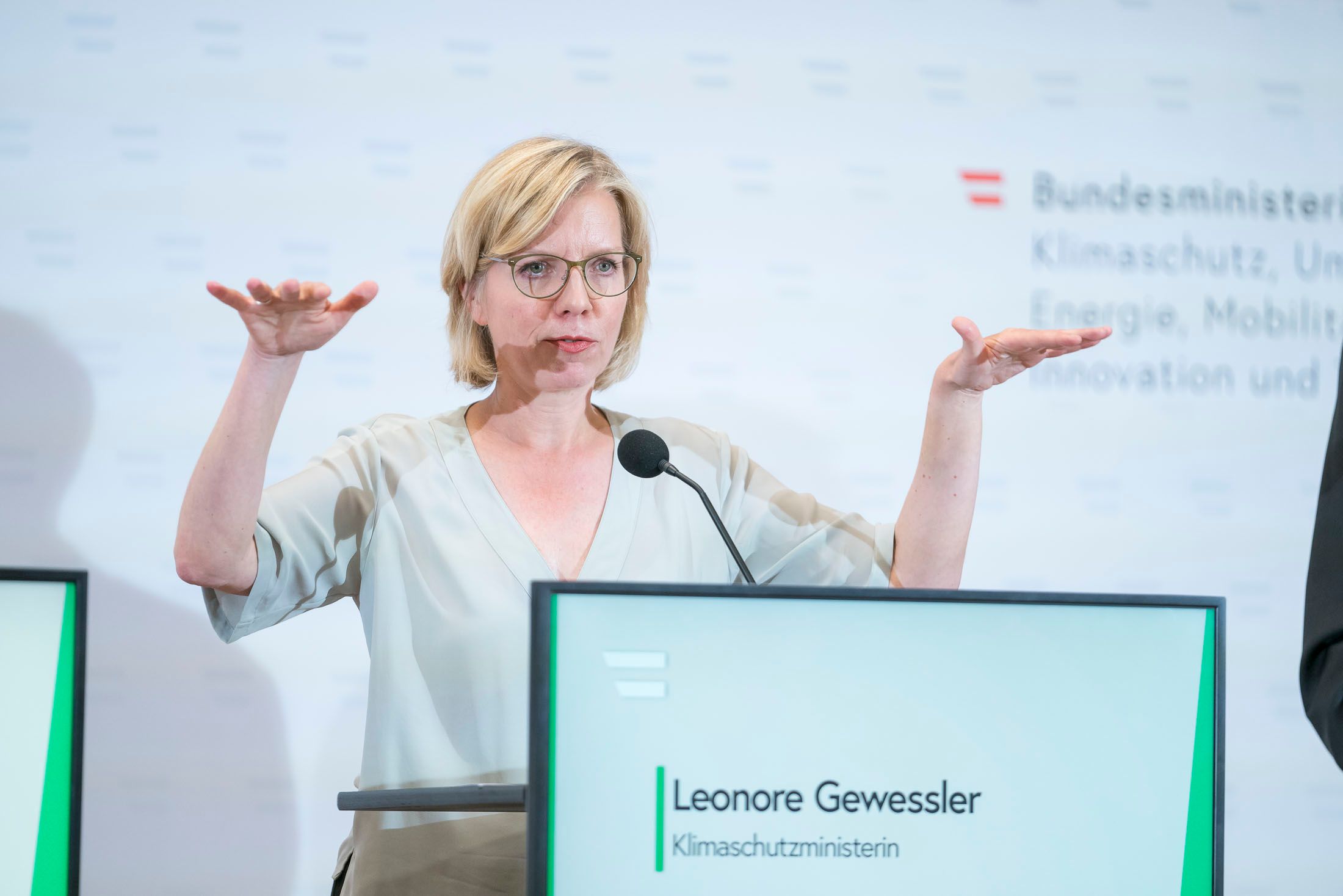 Will den Status quo beibehalten: Umweltministerin Leonore Gewessler.