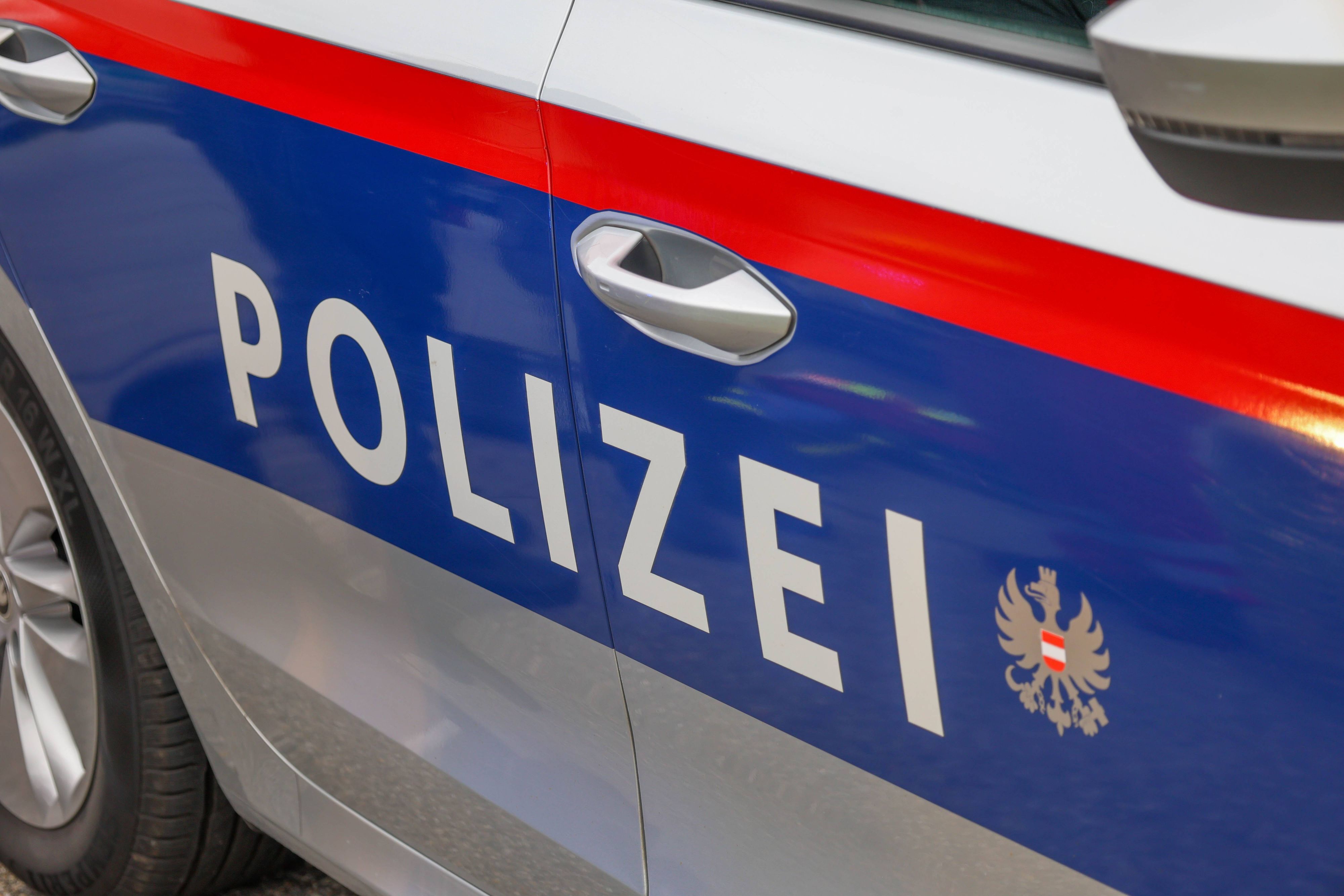 Der mutmaßliche Dieb wurde verhaftet.