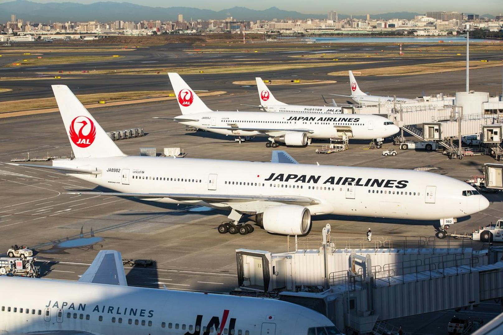 Trotz der ehrenwerten Absichten der Aktion von Japan Airlines, gibt es Gründe, dem Plan skeptisch gegenüberzustehen.