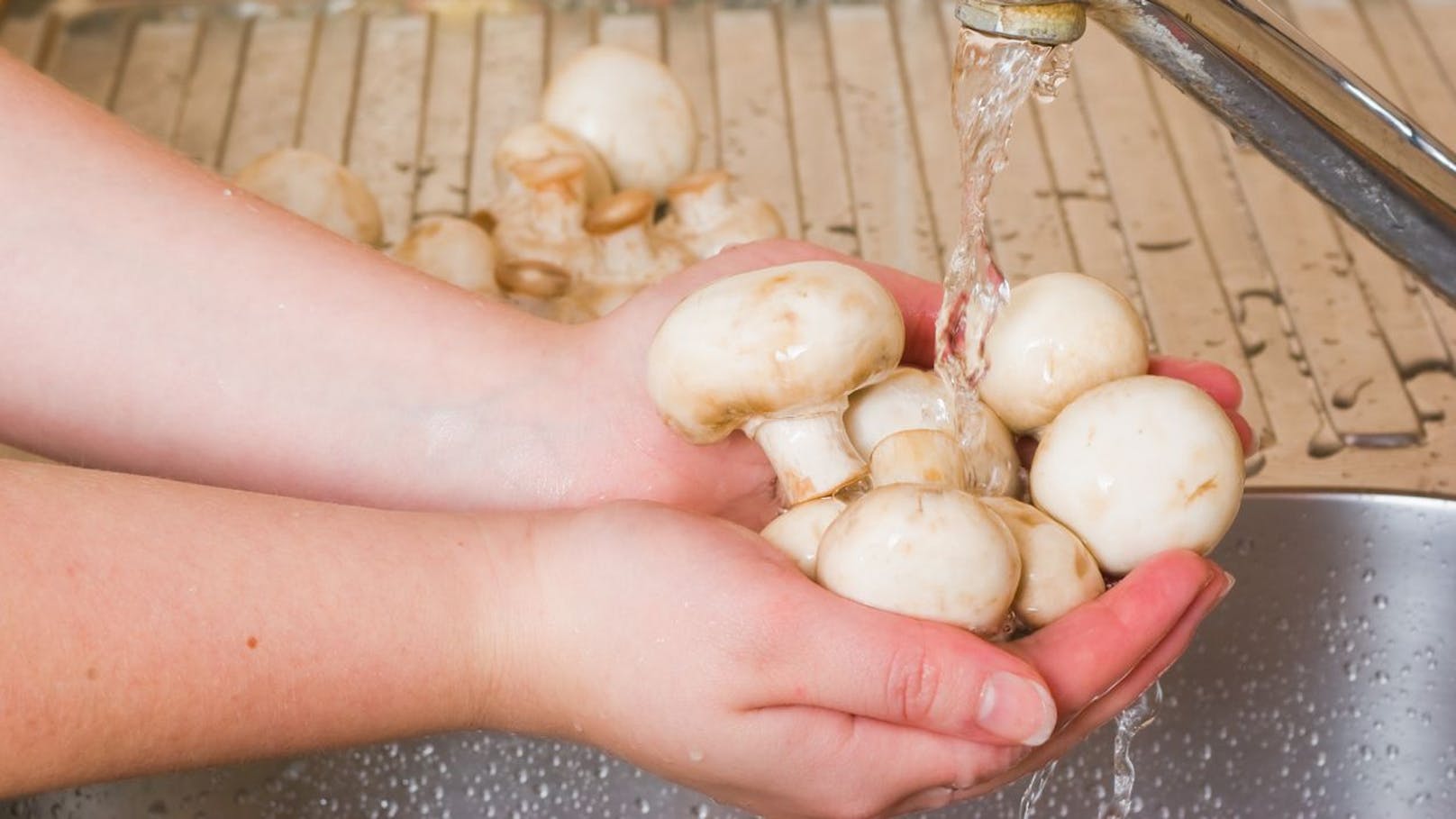 Pilze sind keine Schwämme. Man kann sie waschen, ohne dass sie sich völlig mit Wasser vollsaugen.