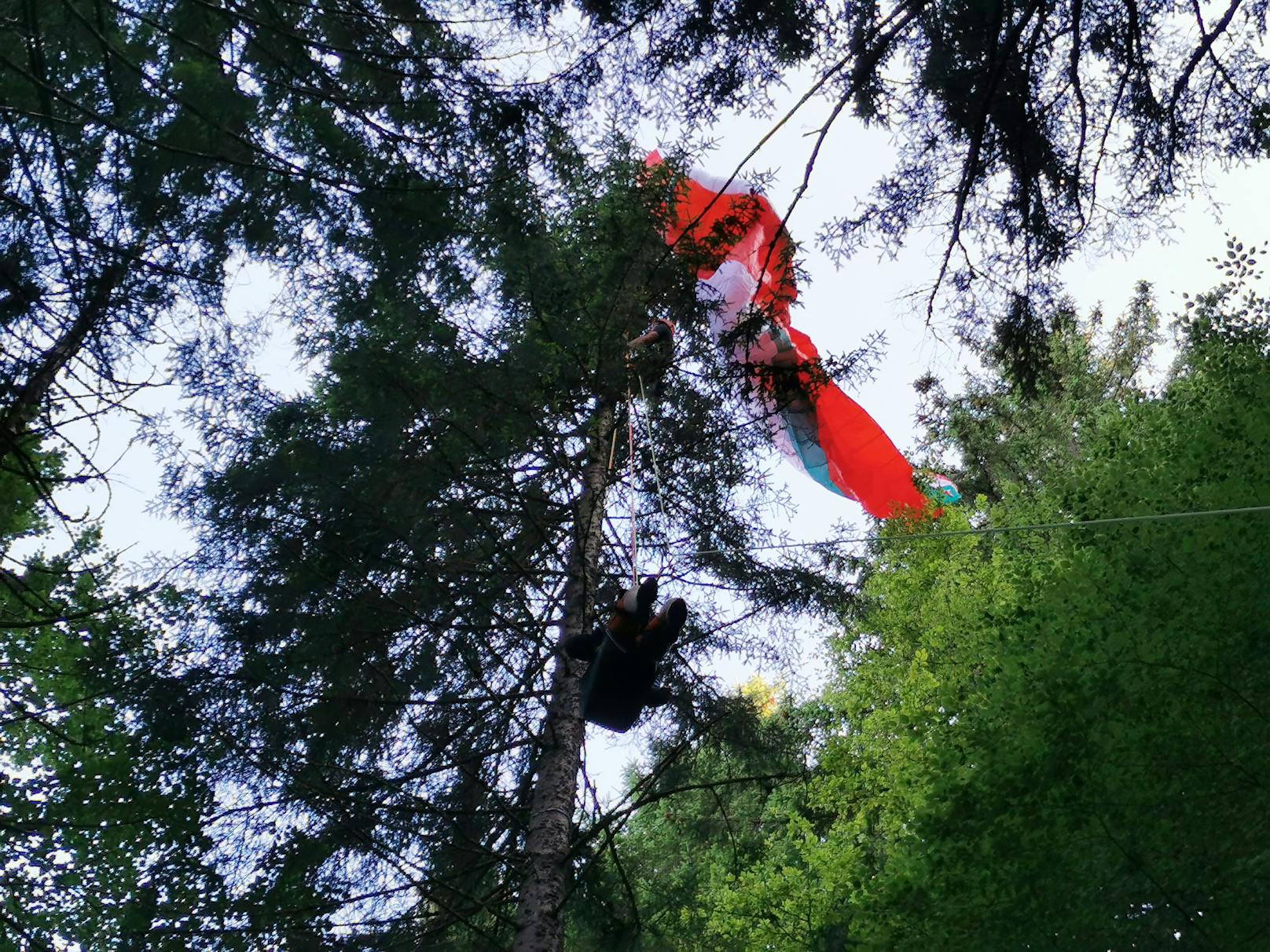 Mann stürzt mit Paragleiter ab, bleibt in Baum hängen