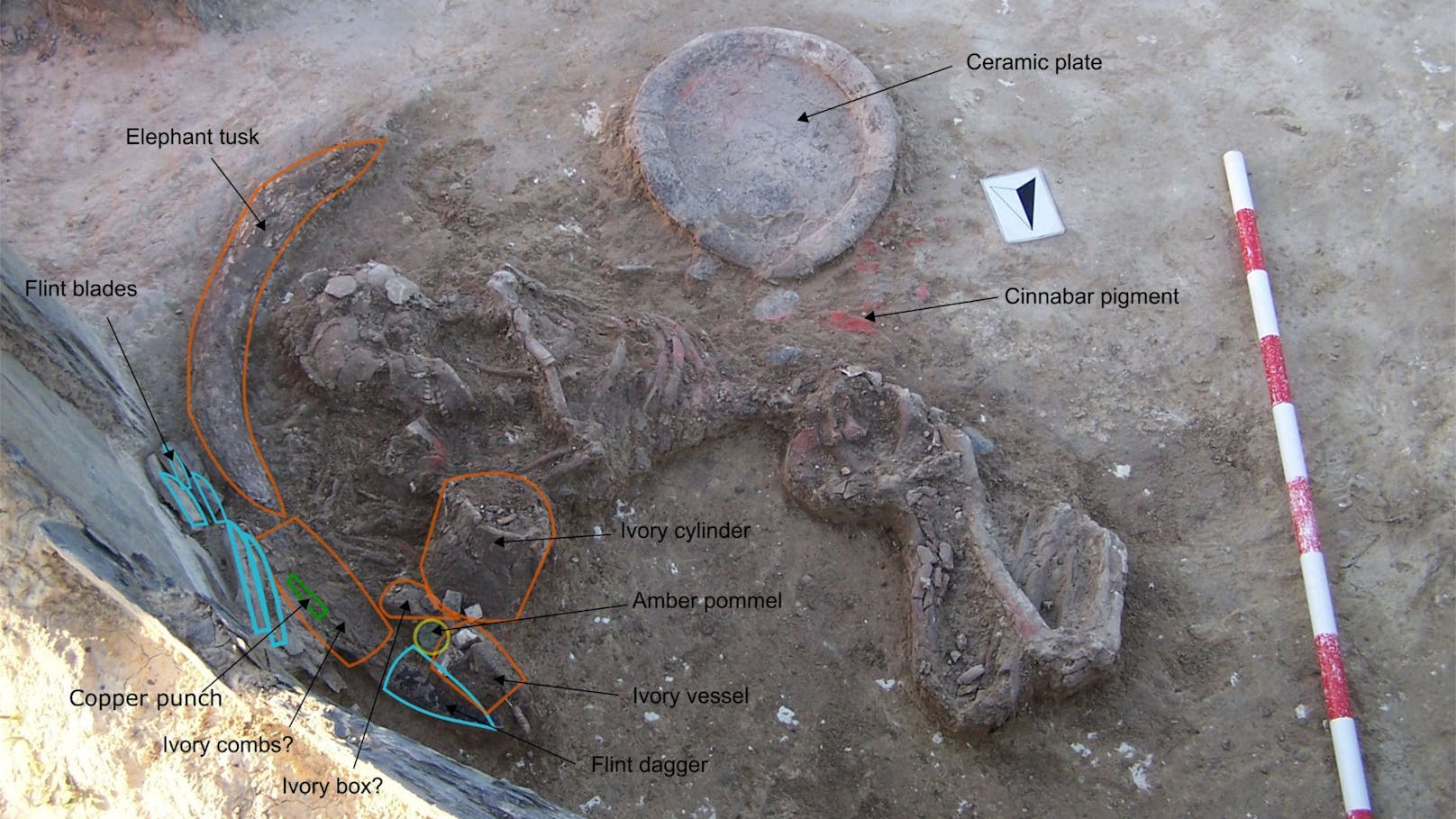 Im Jahr 2008 ausgegraben, beschäftigt dieses Skelett Archäologinnen und Archäologen bis heute – zum Glück.