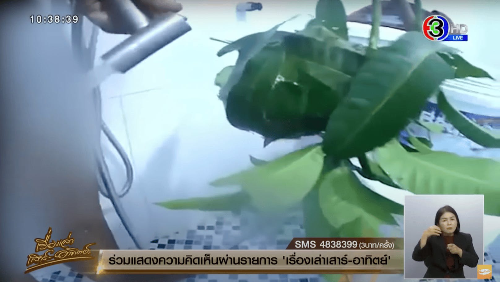 Direkt danach ist zu sehen, wie der Mann mit einem Wasserstrahl versucht, die Ameisen wieder loszuwerden. (Im Bild: Ausschnitt aus der "Morningshow" von Channel 3 in Thailand)