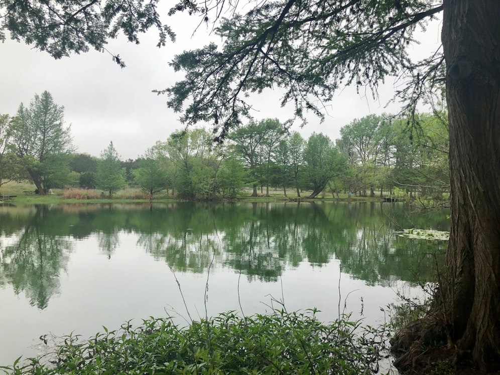 Mann starb bei Unfall in Badeteich (Symbolfoto).