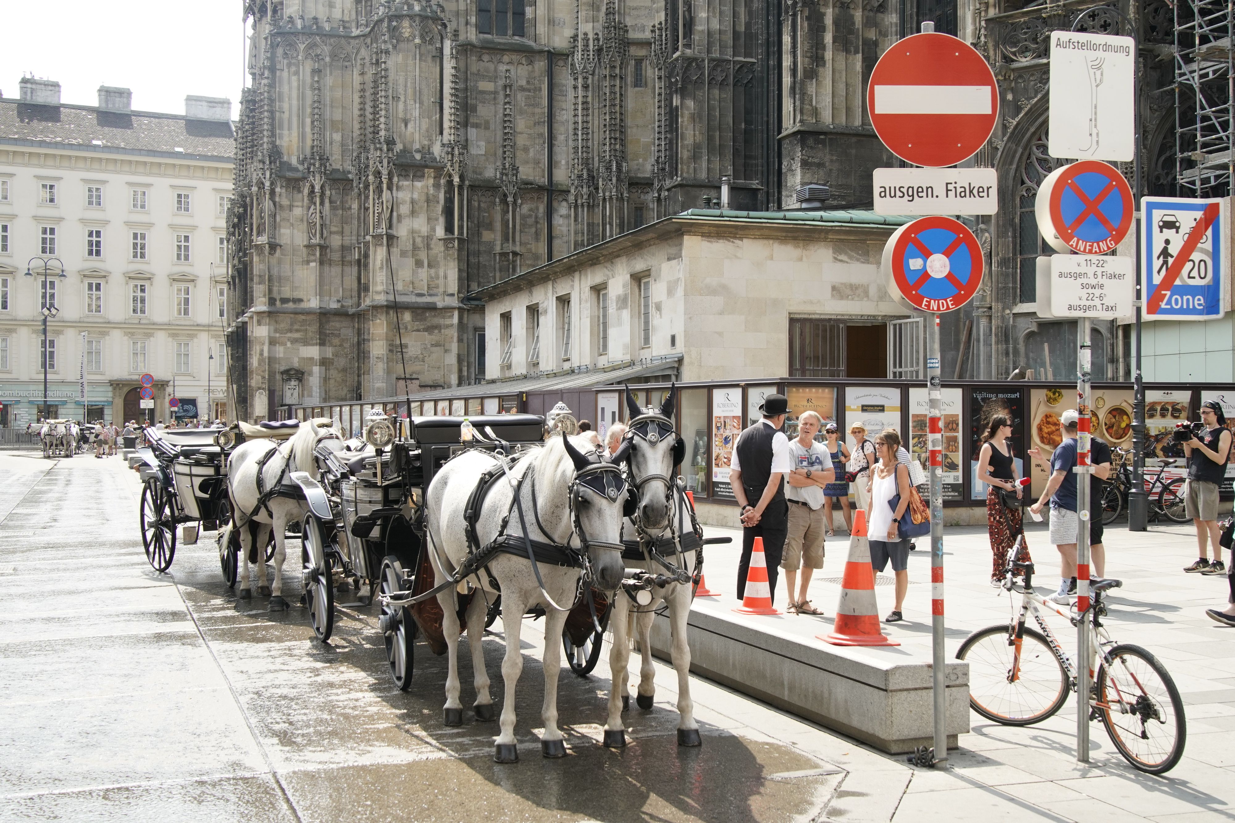 Der Fahrer trieb seine Tiere zu einer Gruppe von Demonstranten. (Symbolbild)