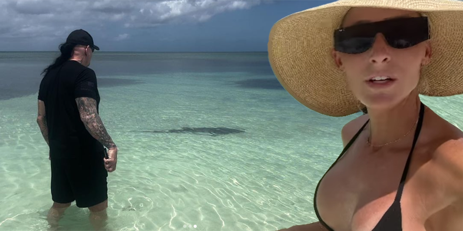 Der Hai flüchtet vor dem Undertaker