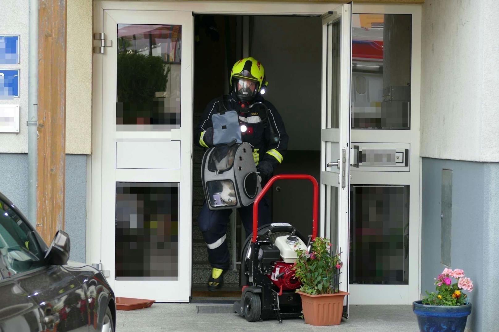 Die Feuerwehr im Brandeinsatz: Auch drei Katzen konnten gerettet werden.