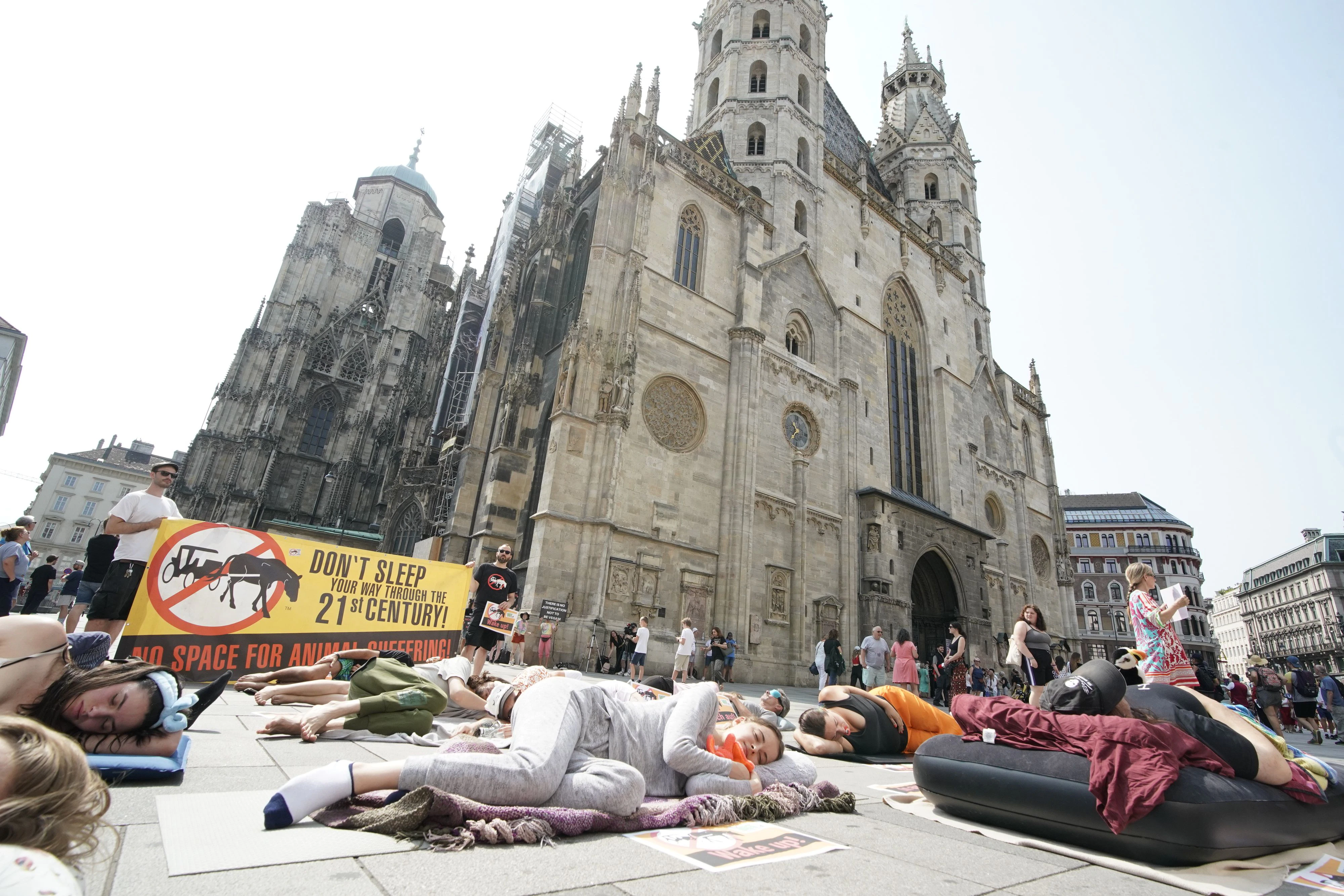 Am Wiener Stephansplatz demonstrierten 20 Tierschutz-Aktivisten. Sie fordern Hitzefrei für Fiaker ab 30 Grad.
