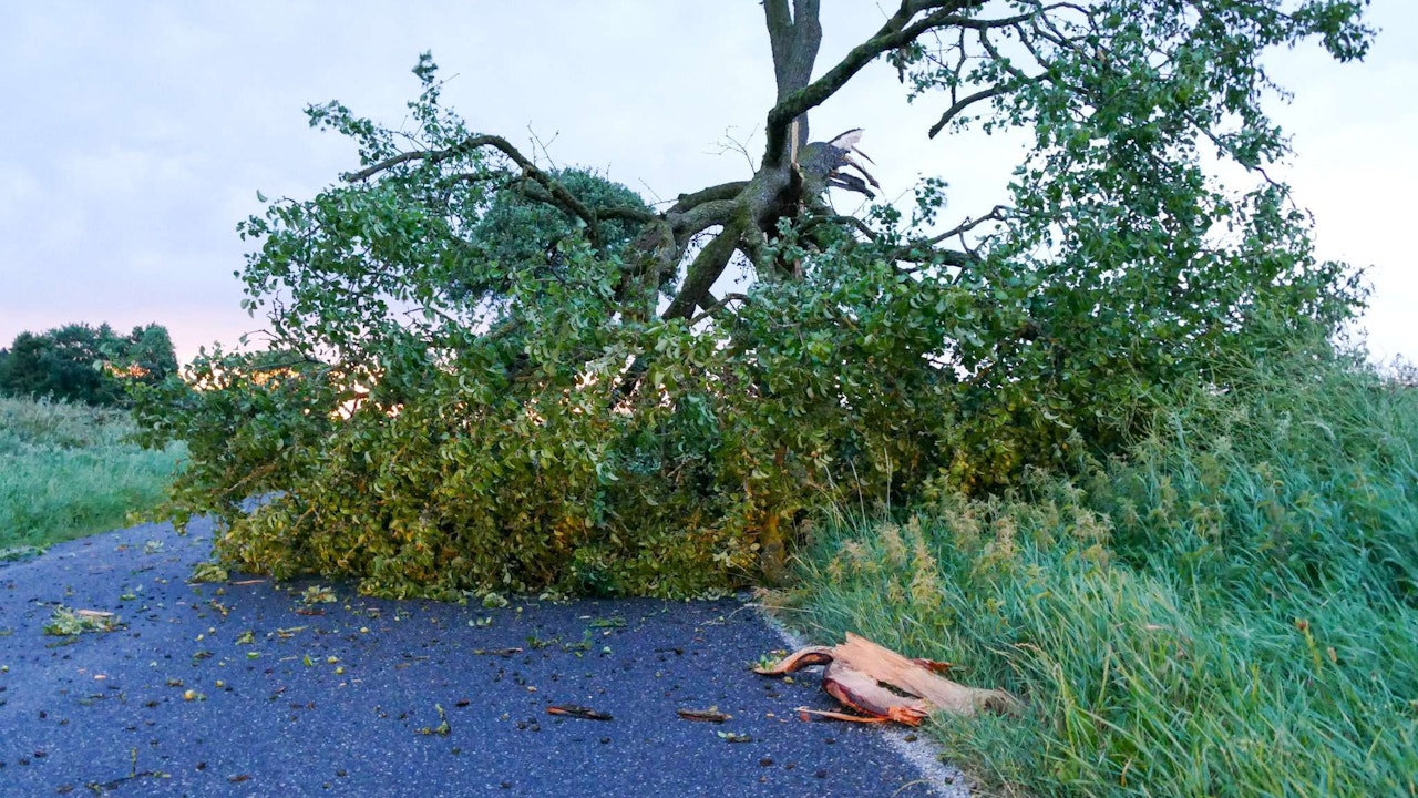Heute.at - ACHTUNG! Föhnsturm trifft Österreich mit voller Wucht