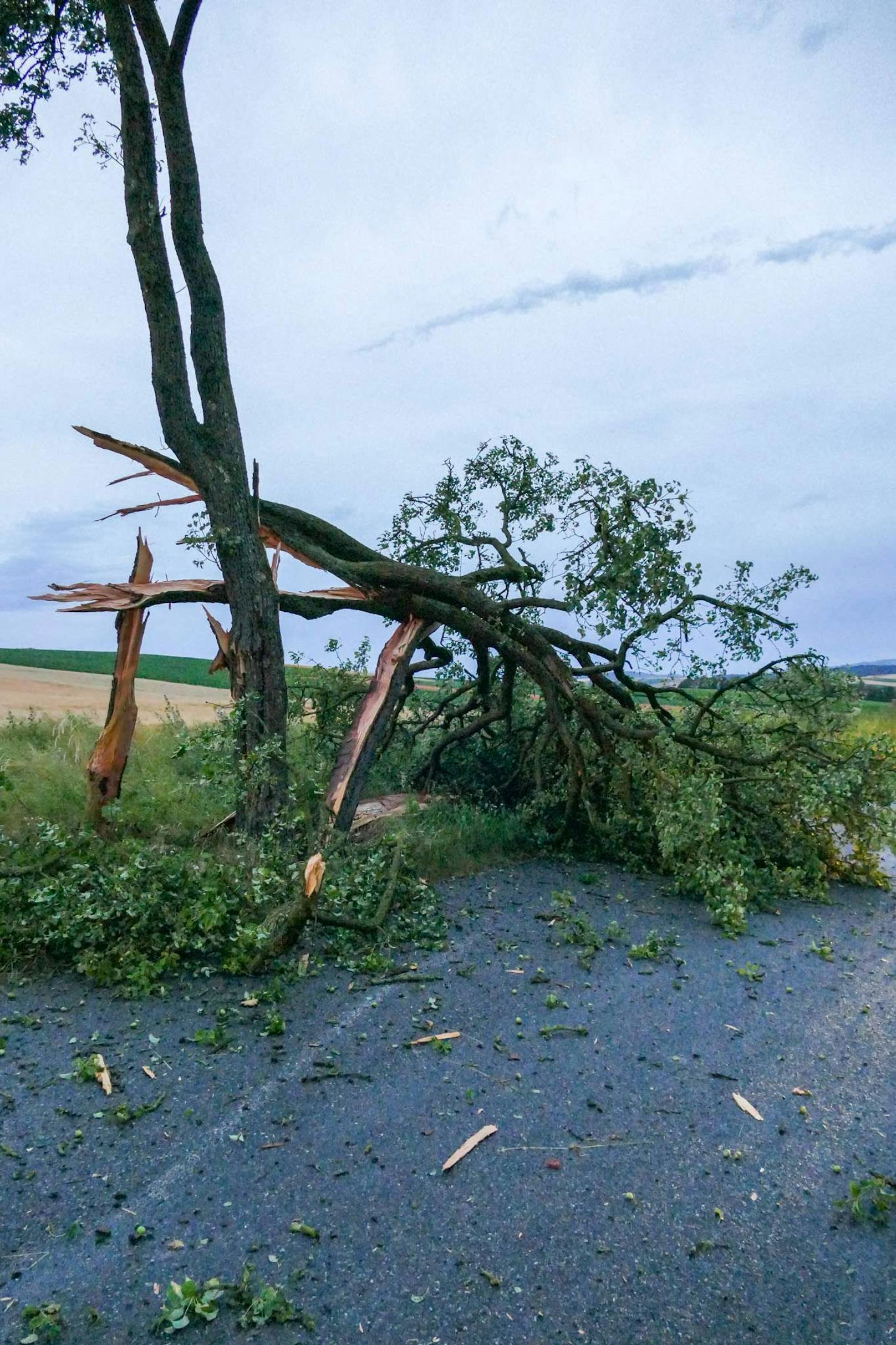 Die Sturmschäden der vergangengen Nacht