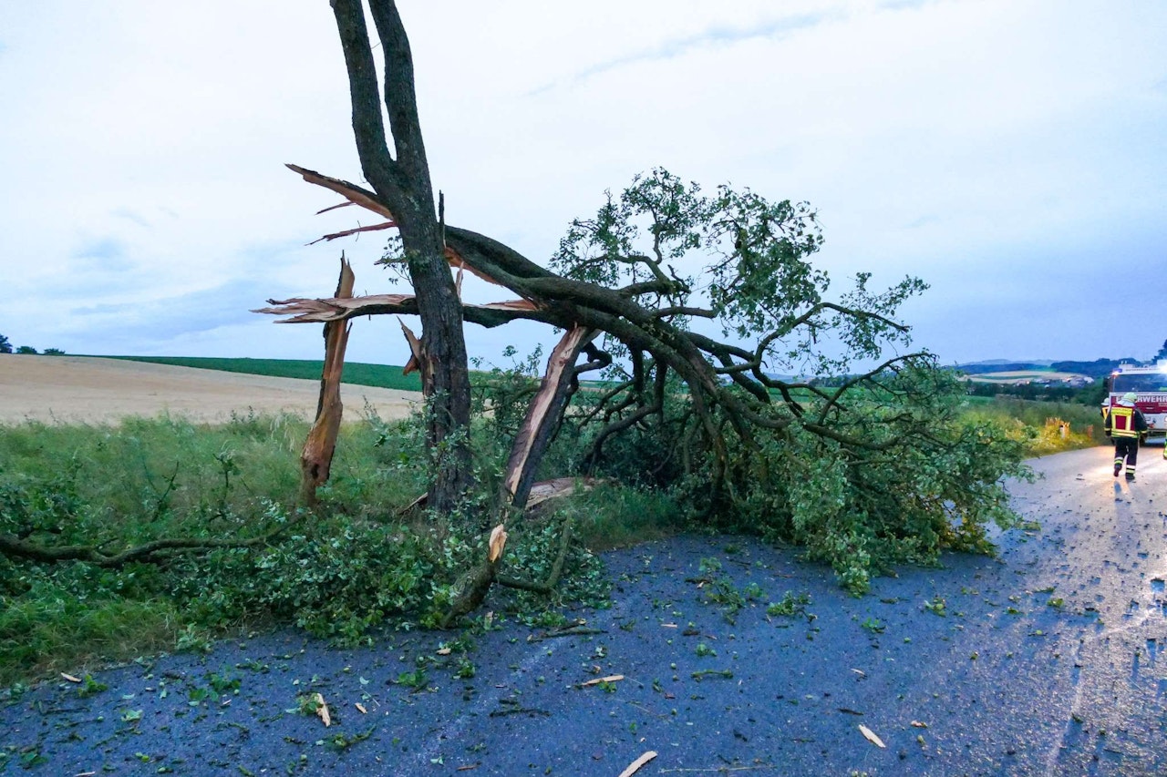 Heute.at - Sturm-Chaos in NÖ! Bäume geknickt wie Streichhölzer