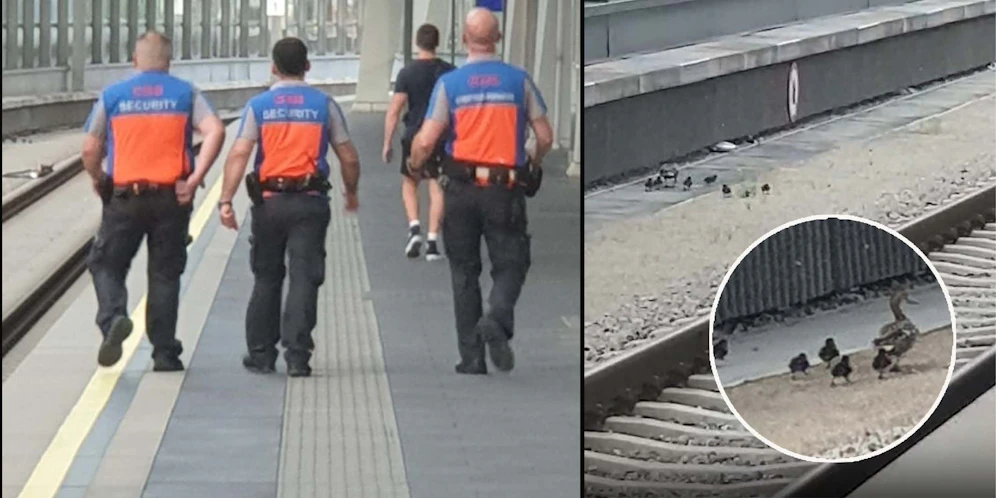 Heldenhafte Bahnmitarbeiter eilten schnell zur Hilfe.