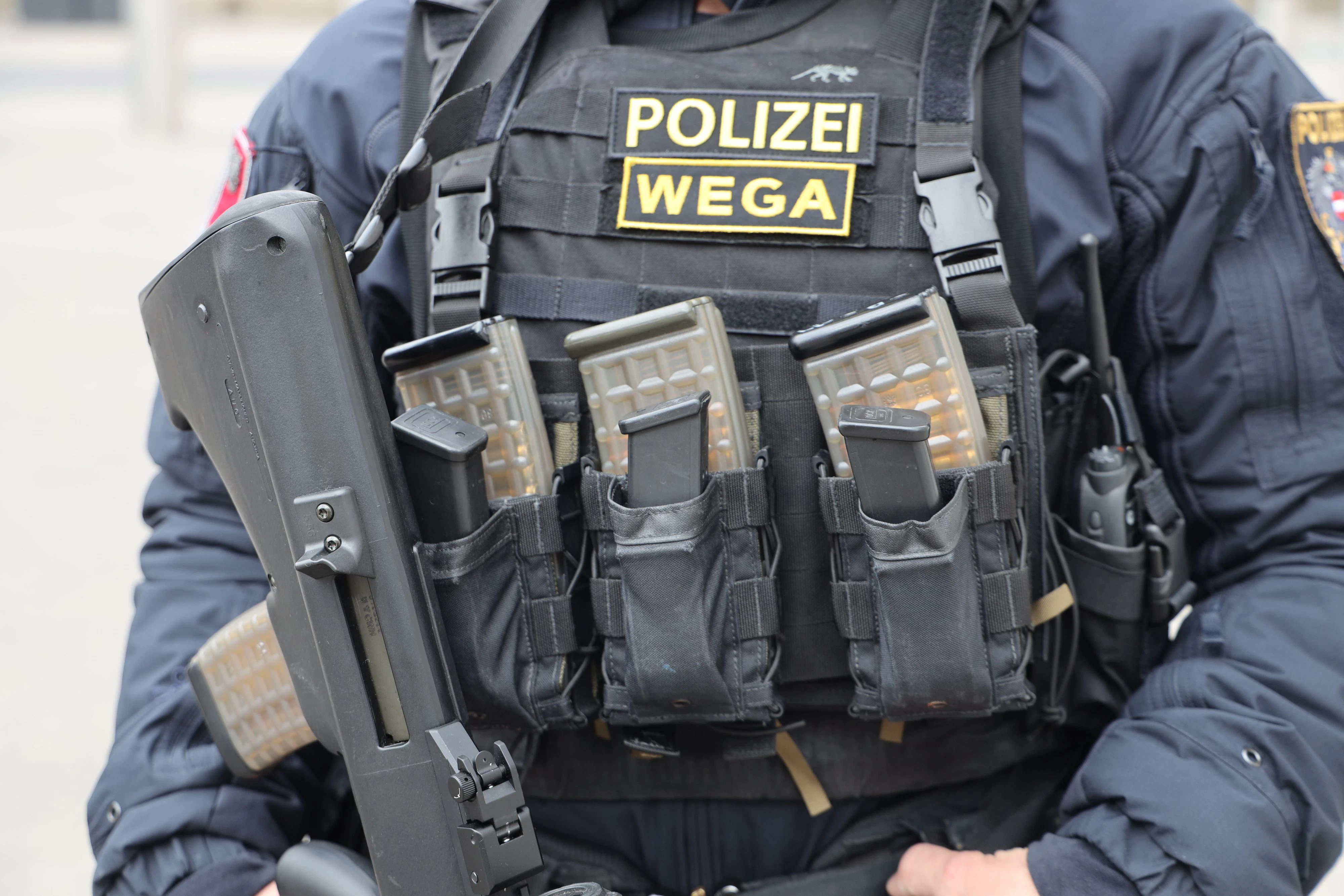 Die WEGA konnte den Mann festnehmen. 