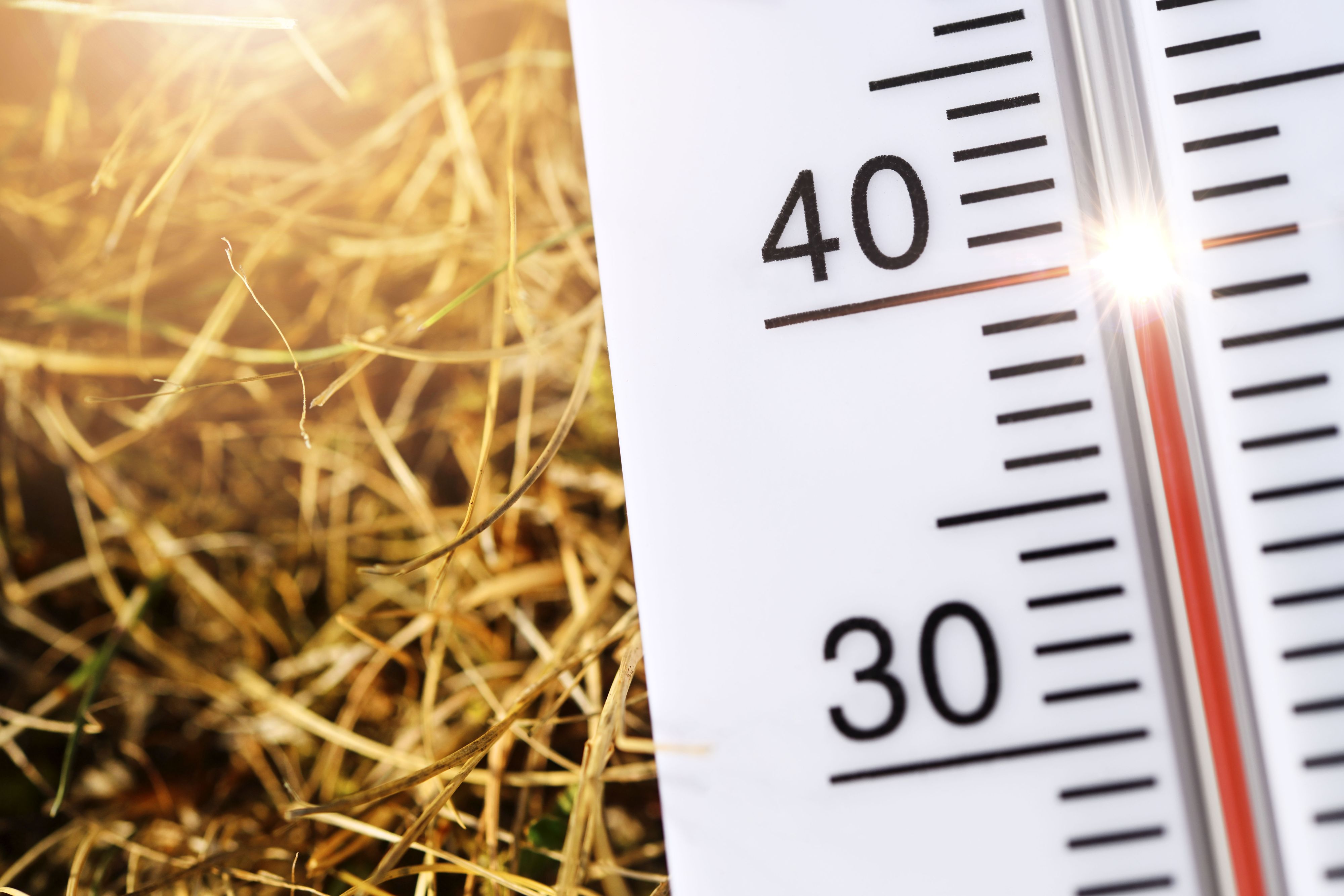 In der kommenden Woche wird es erneut sehr heiß.