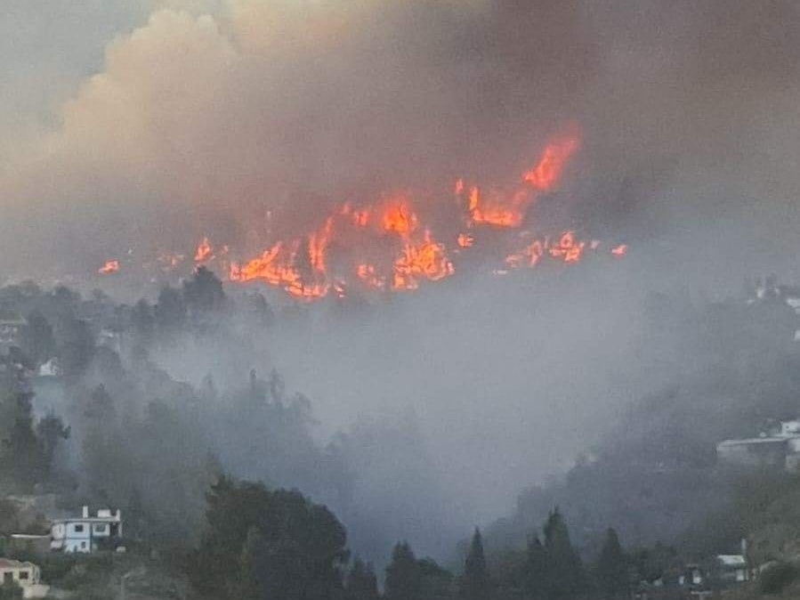 Auf La Palma wüten derzeit enorme Brände.
