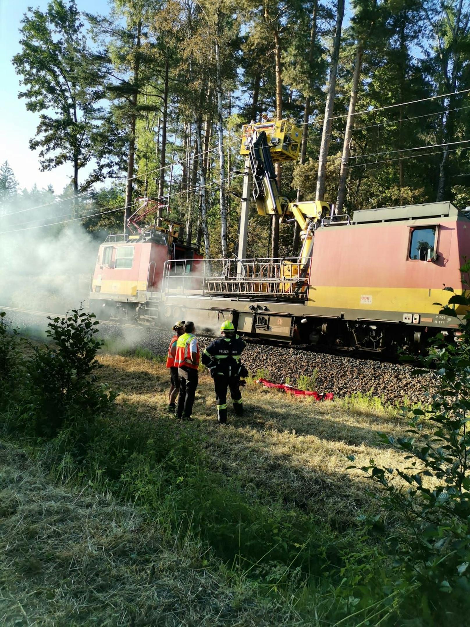 ... zu einem ausgedehnten Waldbrand.