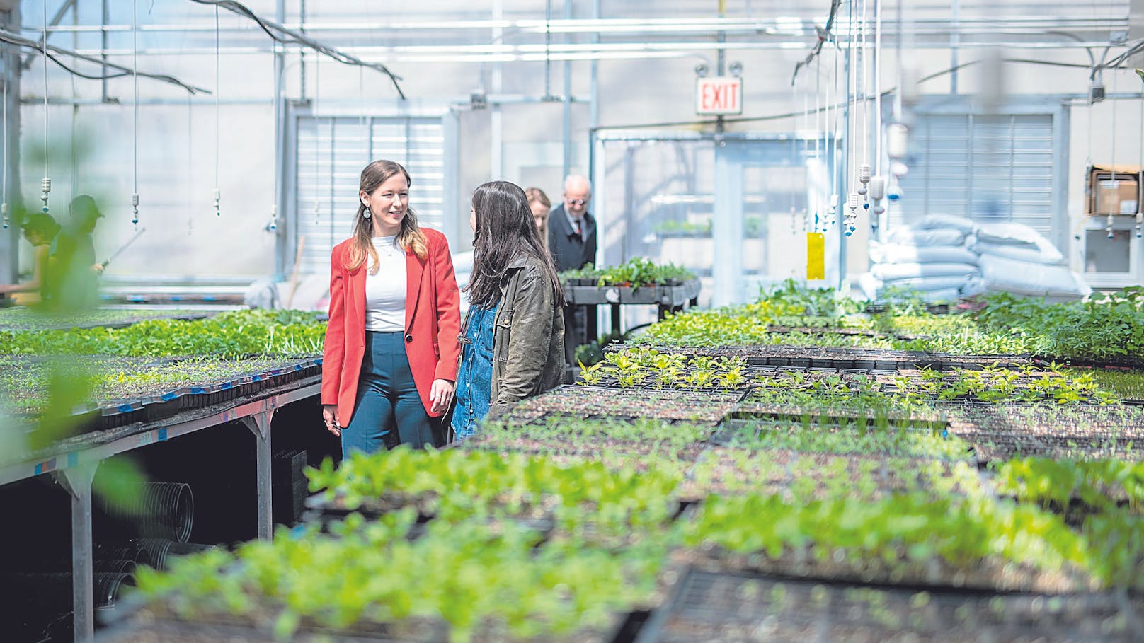 Claudia Plakolm besuchte eine Rooftop Farm in New York.