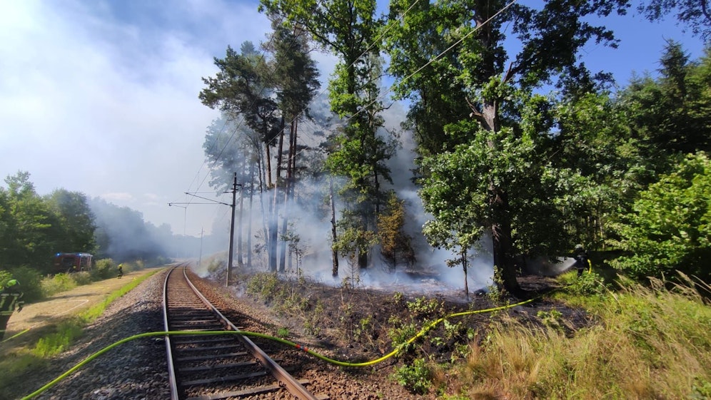 Der Bahndammbrand wuchs sich zu einem großen Waldbrand aus, der Zugverkehr musste mehrere Stunden unterbrochen werden.