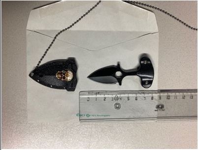 Das Faustmesser wurde in einem Gebüsch gefunden.