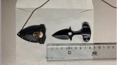 Das Faustmesser wurde in einem Gebüsch gefunden.