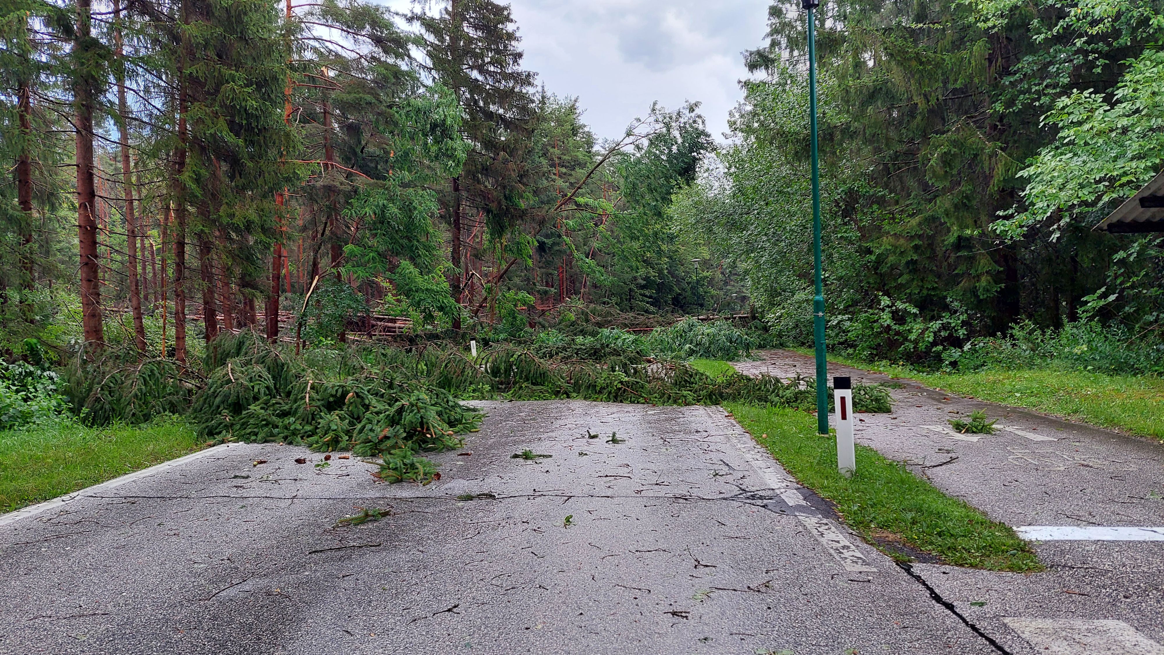 Auch am Klopeinersee wurden mehrere Bäume entwurzelt und stürzten auf Straßen.