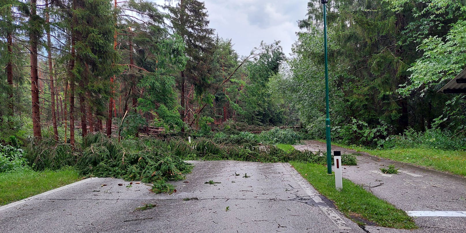 Auch am Klopeinersee wurden mehrere Bäume entwurzelt und stürzten auf Straßen.