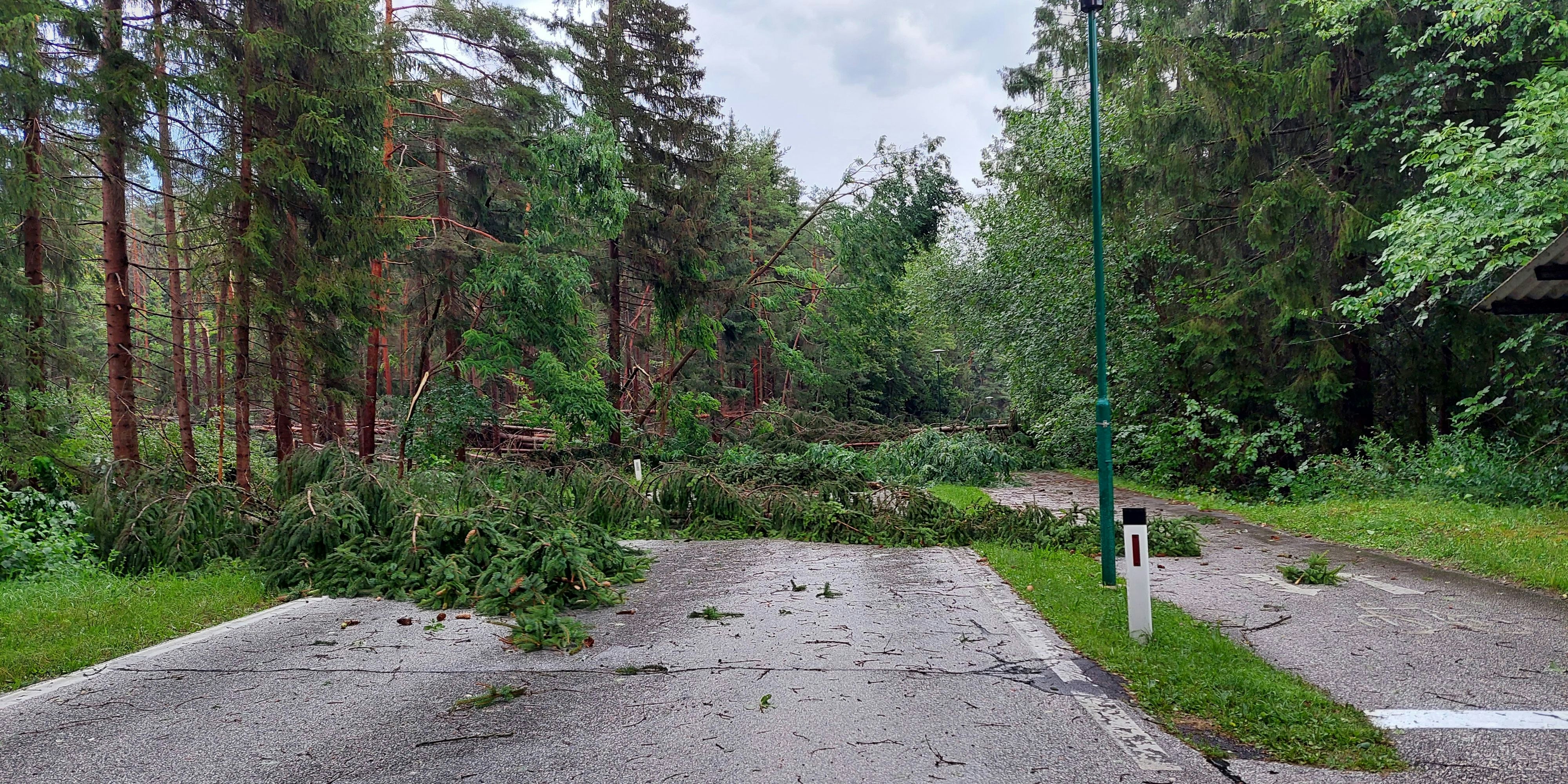 Auch am Klopeinersee wurden mehrere Bäume entwurzelt und stürzten auf Straßen.