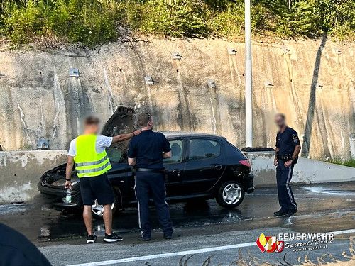 Der Pkw geriet in Vollbrand.
