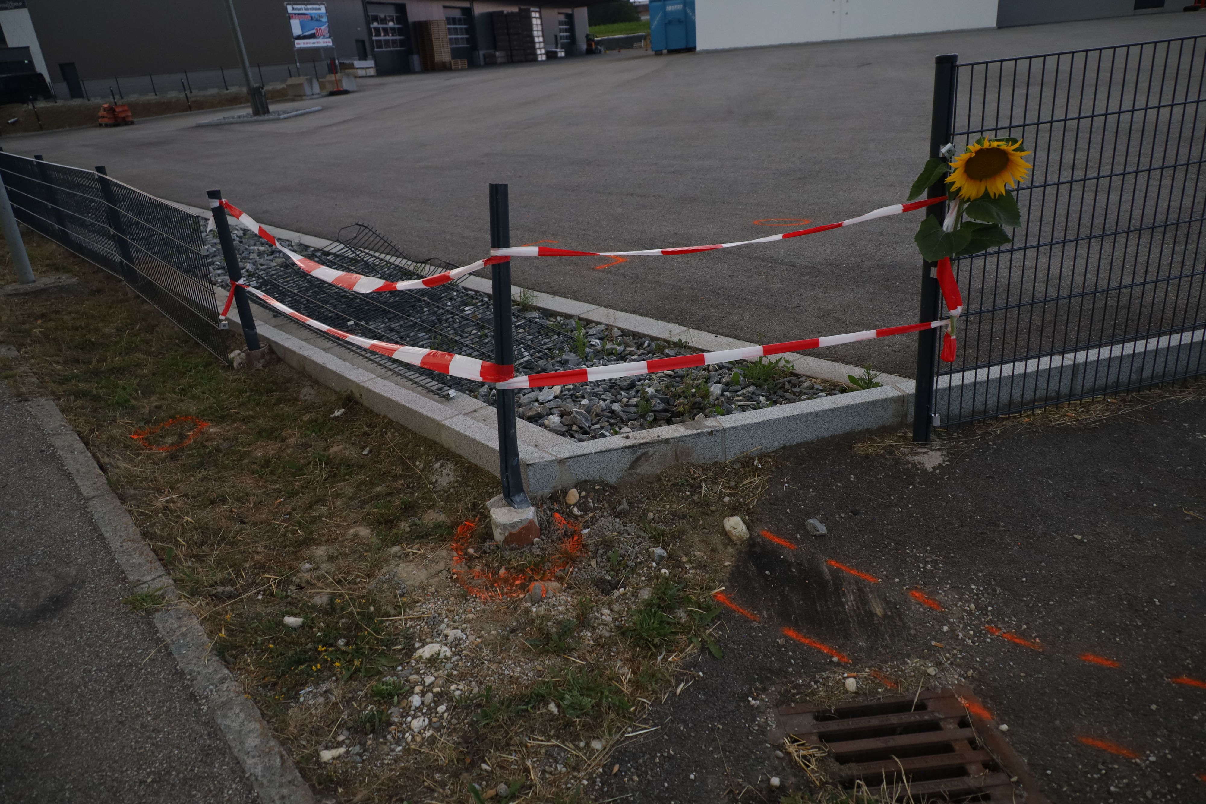 Ein Bild, das sprachlos macht: Eine Sonnenblume am Zaun erinnert an den tödlichen Unfall.