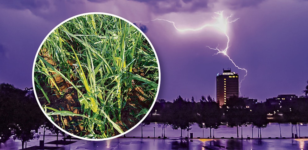 Während Blitze den Linzer Himmel hell erleuchteten, wurden zahlreiche landwirtschaftliche Flächen in Oberösterreich zerstört.