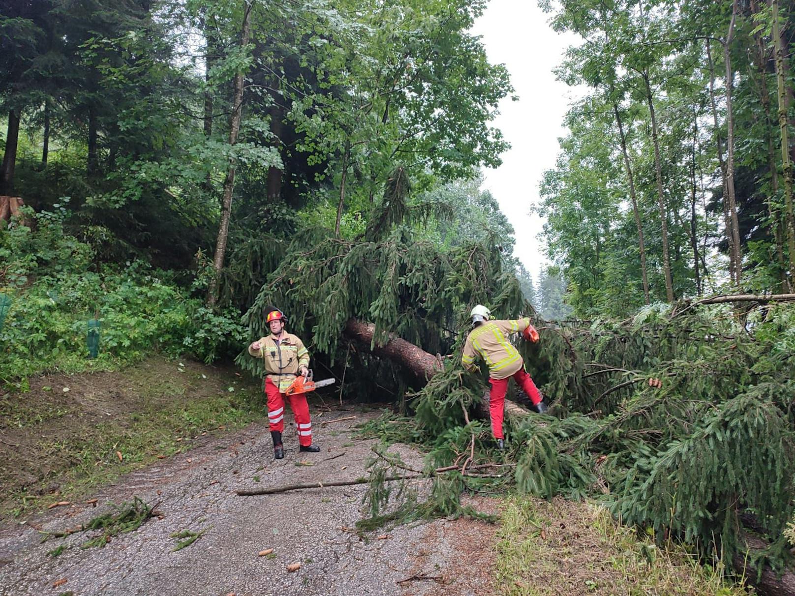 Weiters wurden im Großraum Hart mehrere Bäume abgerissen, wodurch einige Straßen teilweise gesperrt oder erschwert passierbar waren.