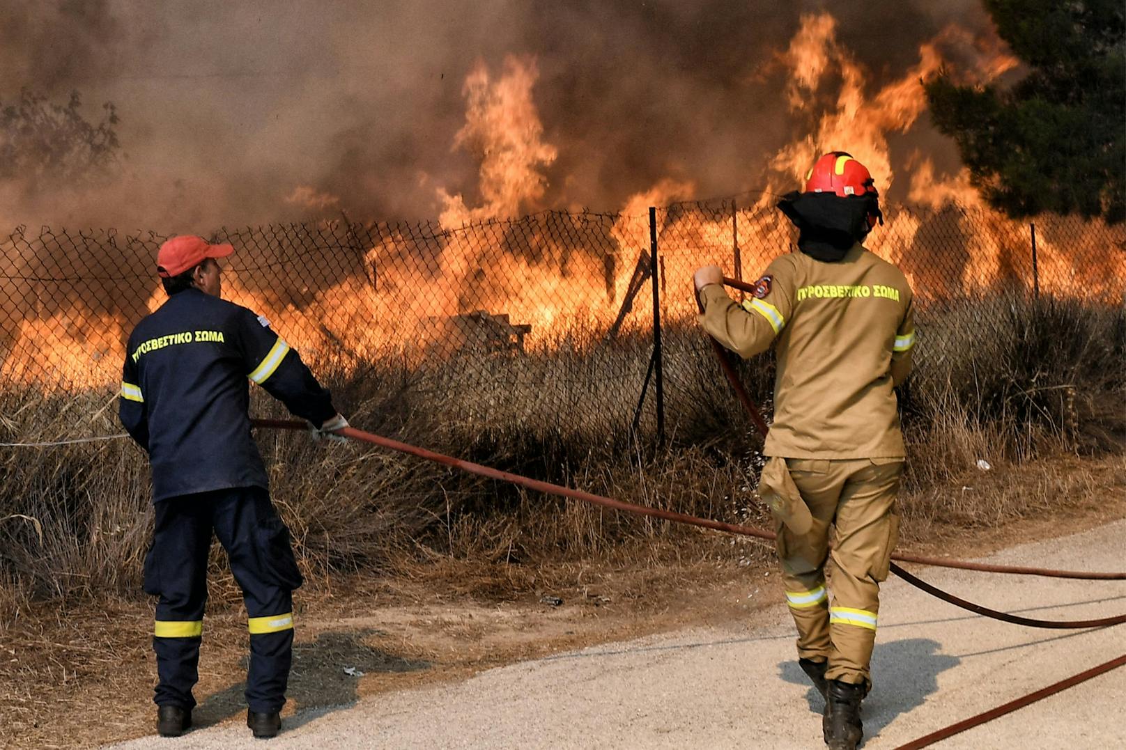 Feuerwehrleute bekämpften den Waldbrand in der Siedlung Irini in der Nähe des Ferienortes Loutraki, etwa 80 Kilometer östlich von Athen.<a href="https://www.heute.at/g/waldbraende-griechenland-100282271?category=/welt&amp;image=1#carousel_100282271"></a>