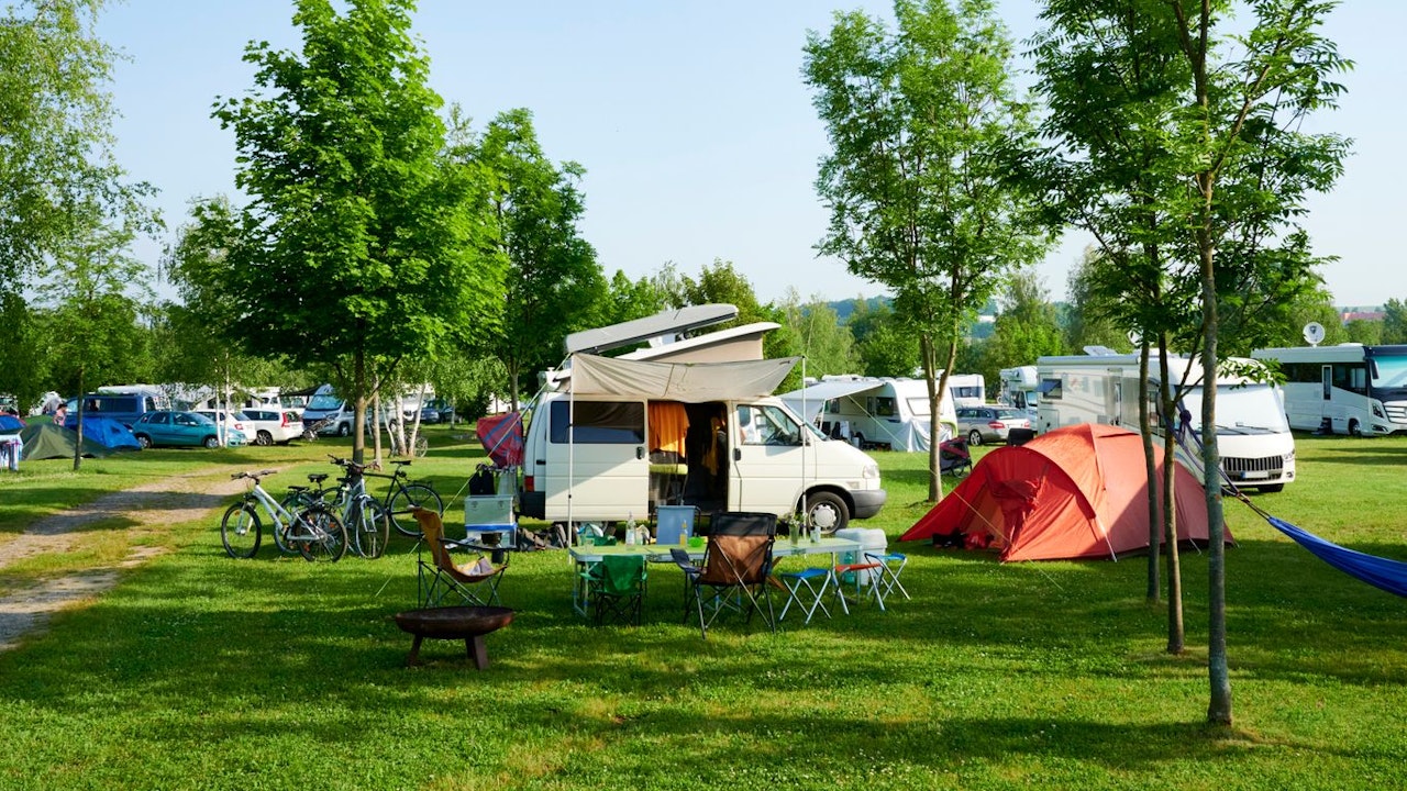 Heute.at - Bub (9) auf Campingplatz von 20-Meter-Baum getroffen