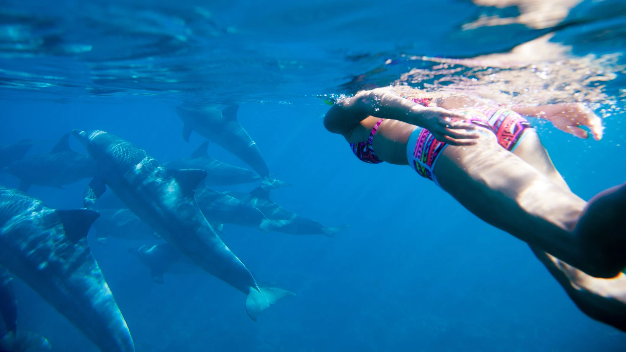 Young woman swiming in the beautiful water on Mauritius island with dolphins