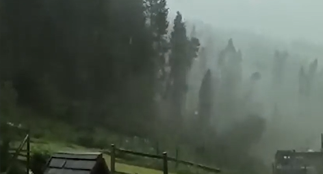 In der Region Venetien knickte der durch das Untwetter verursachte Sturm Bäume wie Streichhölzer um.