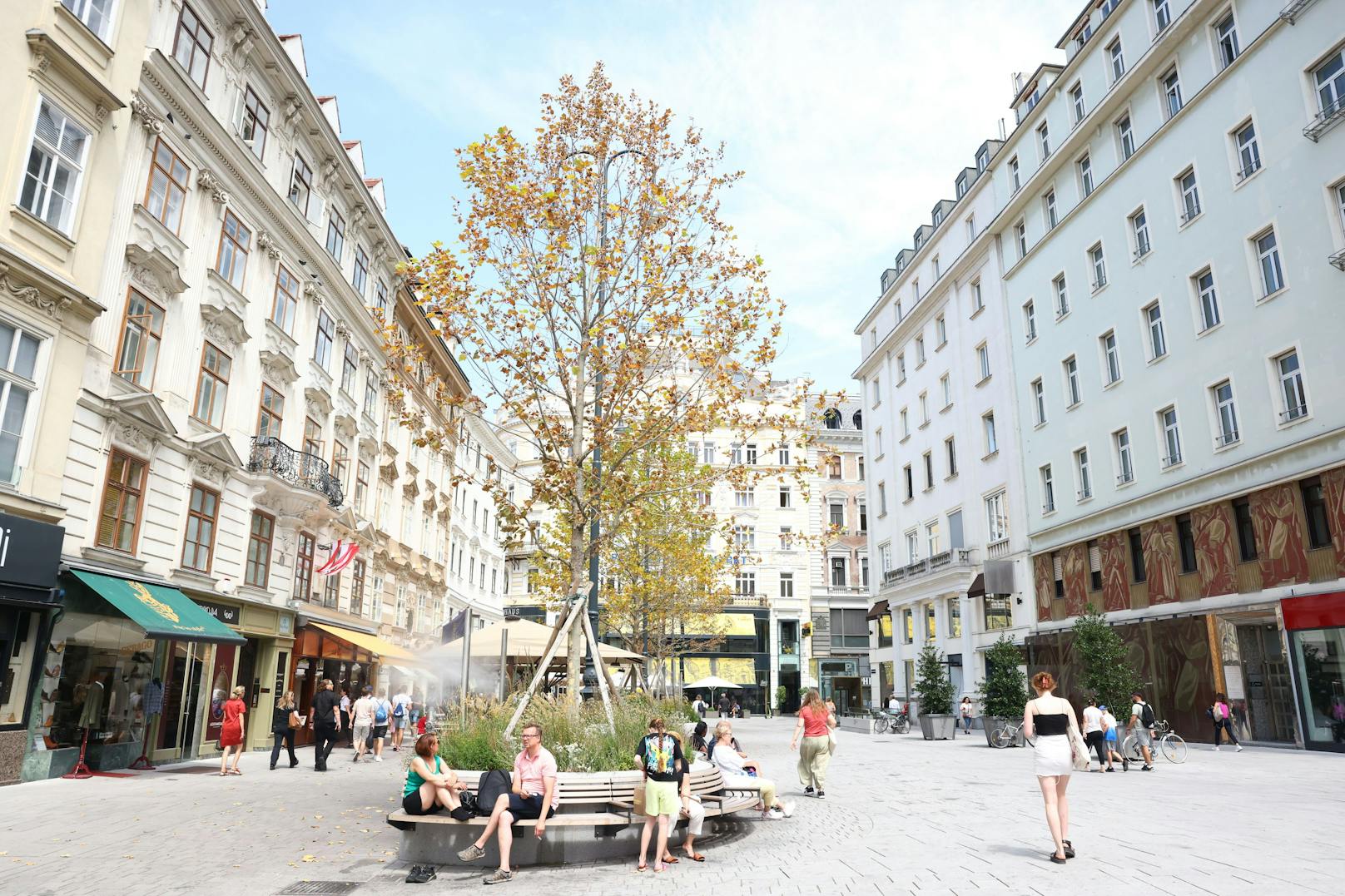 60.000-Euro-Bäume in Wien – so setzt ihnen die Hitze zu