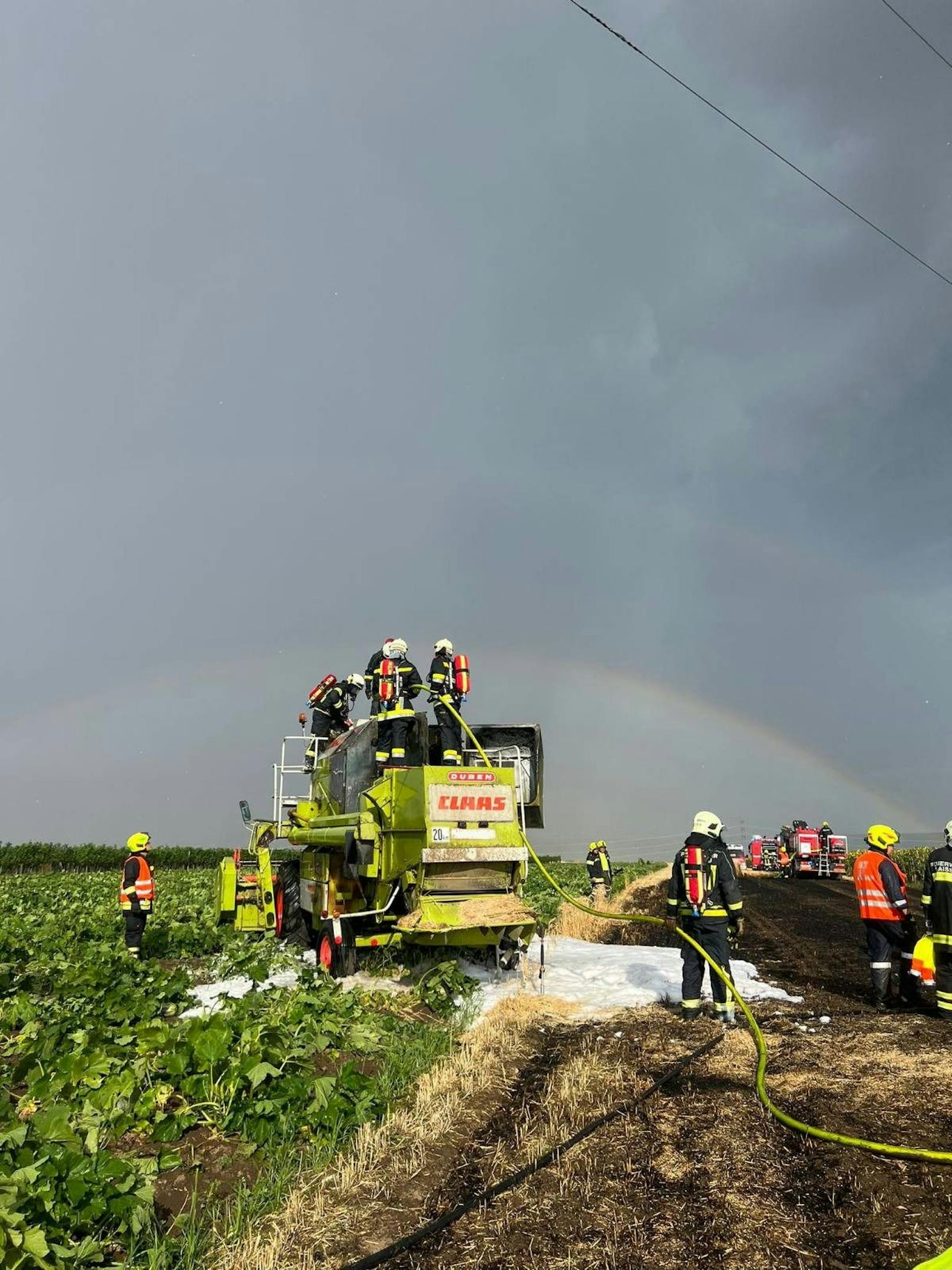 Auf Befehl von Einsatzleiter Anton Koller wurde auch der Getreidetank des Mähdreschers ausgeräumt.