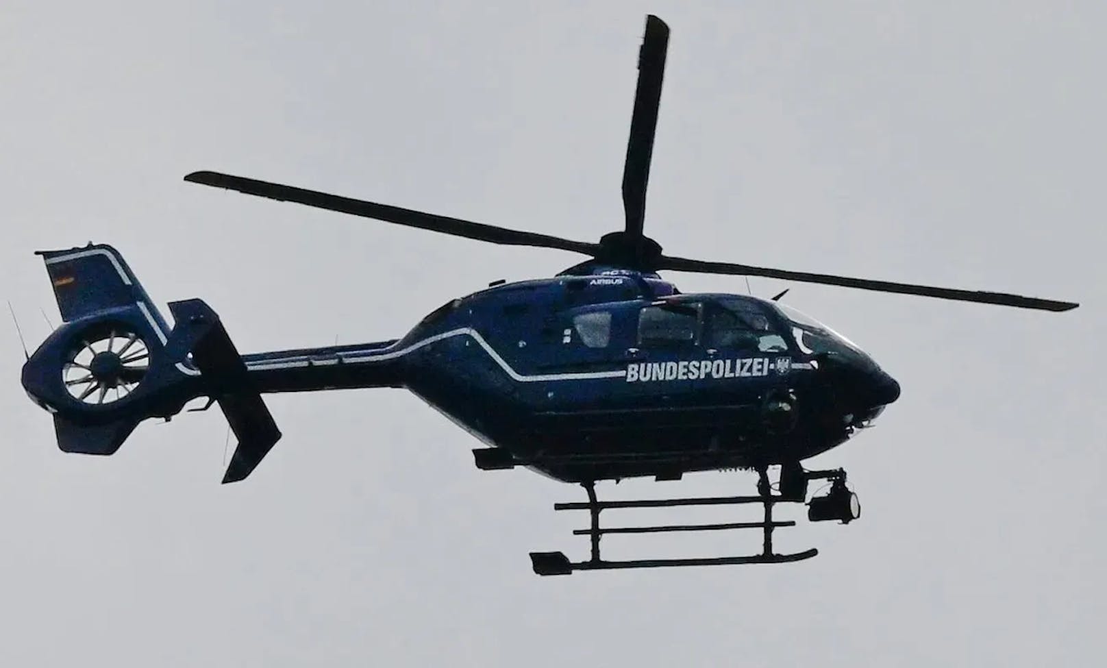 Auch ein Polizeihelikopter kommt bei der Suche nach der entlaufenen Löwin zum Einsatz.