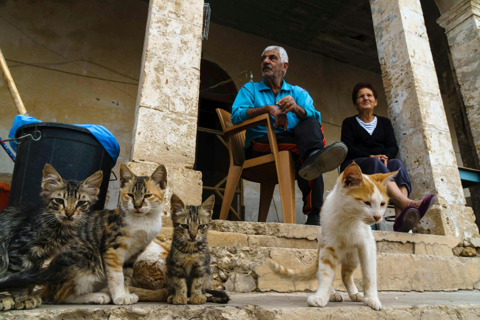 Dabei begann die Geschichte der Katzen&nbsp;auf Zypern der Geschichte nach bereits vor für über 1.500 Jahren - in einem Kloster, das heute den Namen "St. Nikolaus der Katzen" trägt.