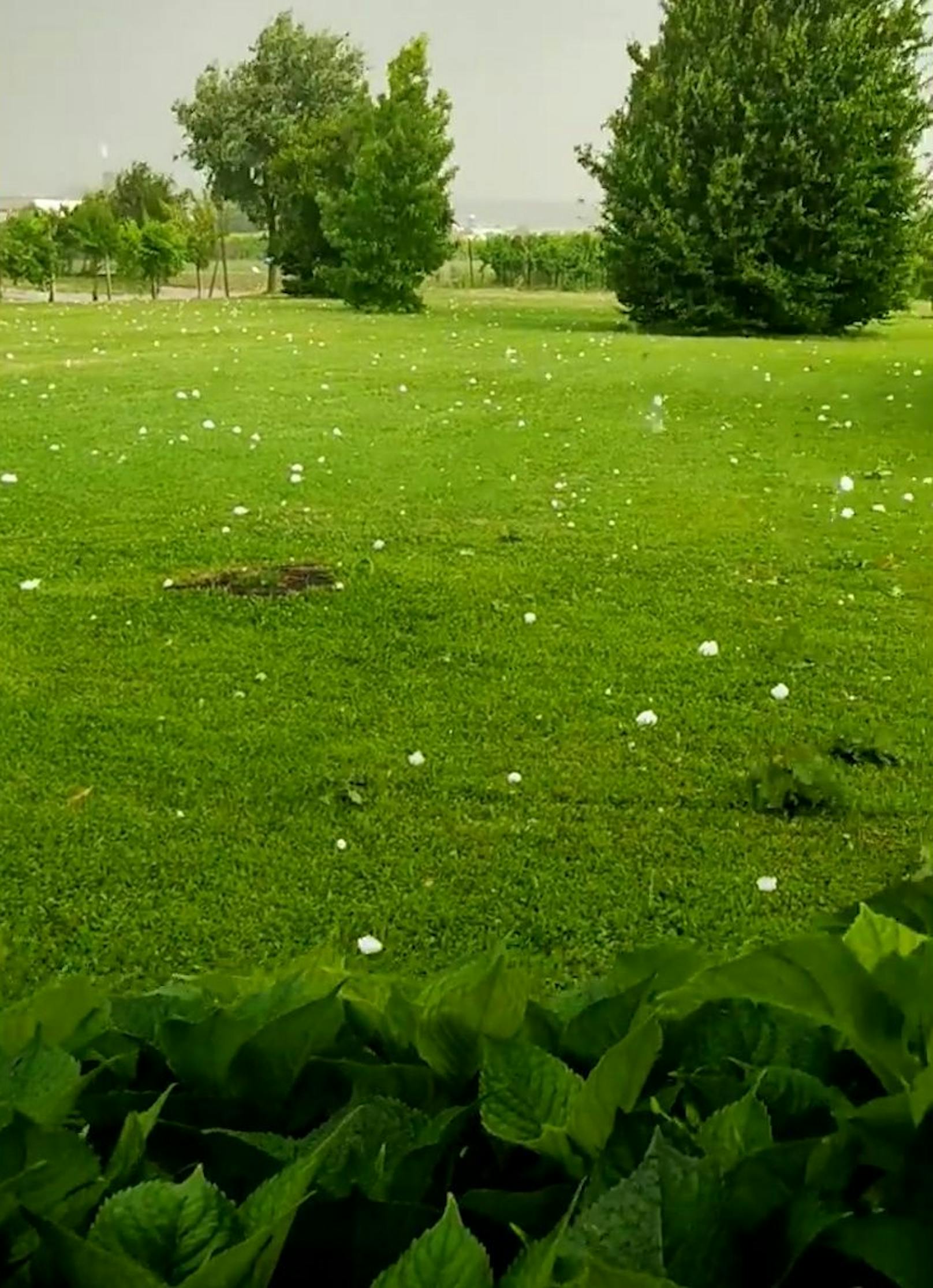 Alarmstufe Rot in Venetien: Eine enorme Superzelle sorgte am 19. Juli 2023 nördlich von Venedig für Riesenhagel von teils über 10 cm im Durchmesser