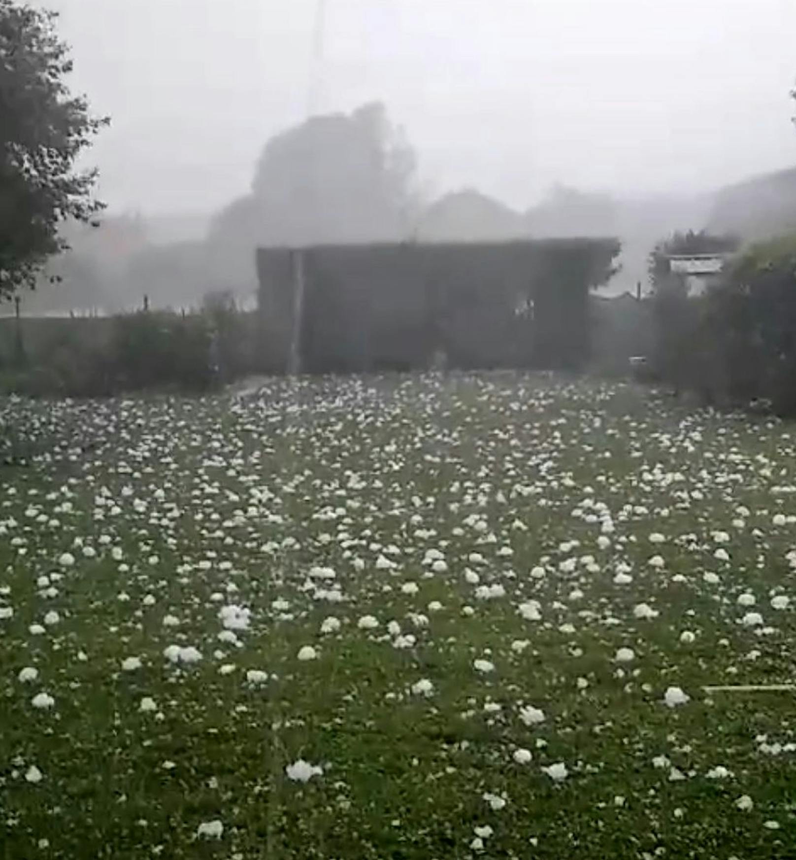 Alarmstufe Rot in Venetien: Eine enorme Superzelle sorgte am 19. Juli 2023 nördlich von Venedig für Riesenhagel von teils über 10 cm im Durchmesser