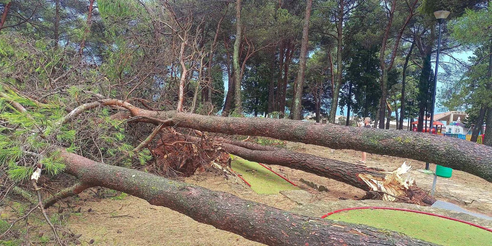 Doch das Unwetter-Chaos war enorm.